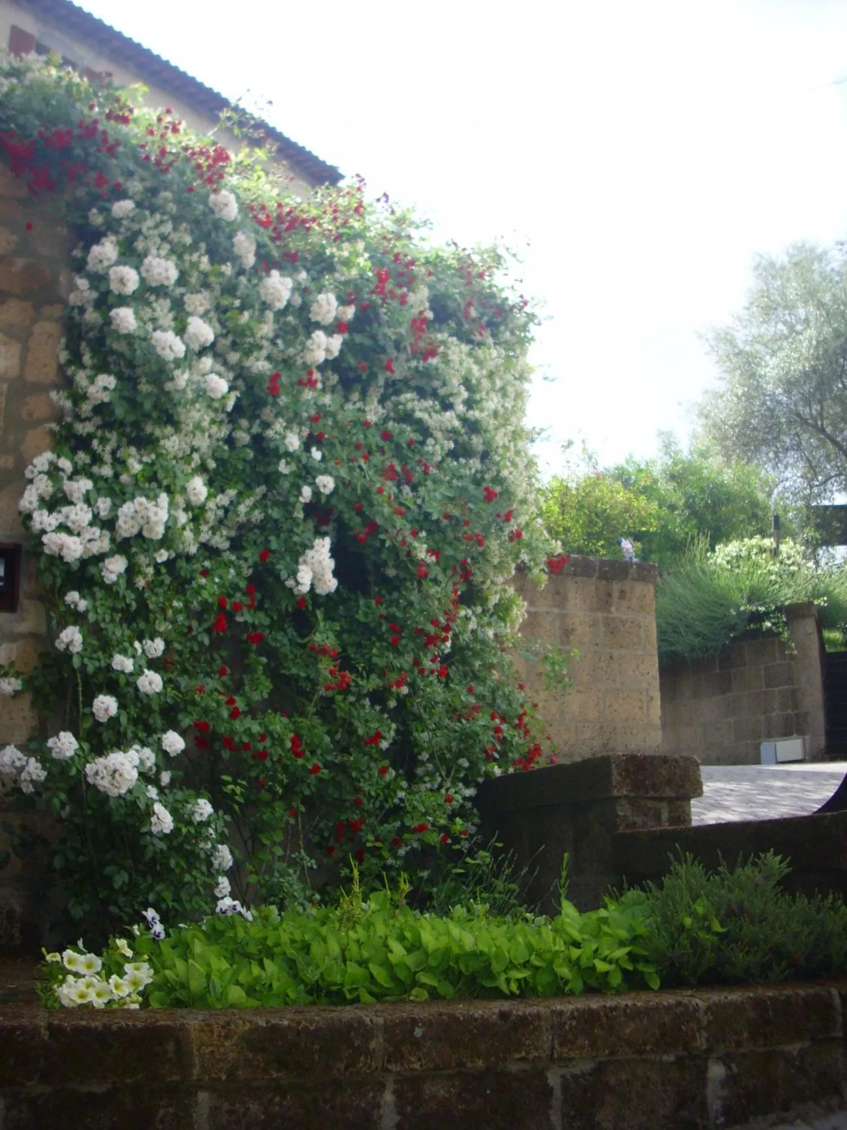 Property building in Chiara e Benedetta Villa degli Ulivi