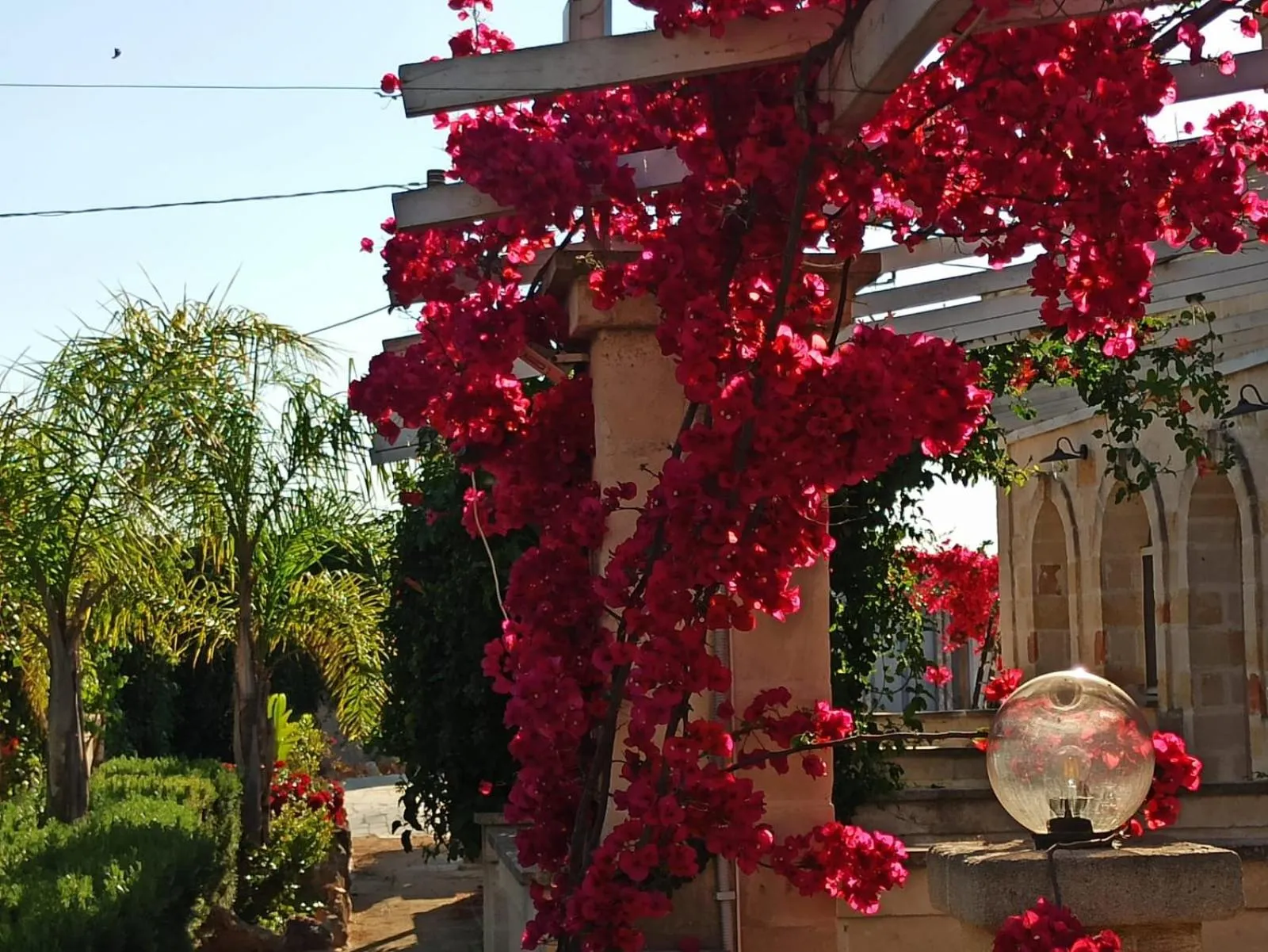 Agriturismo Tenuta Mazzetta