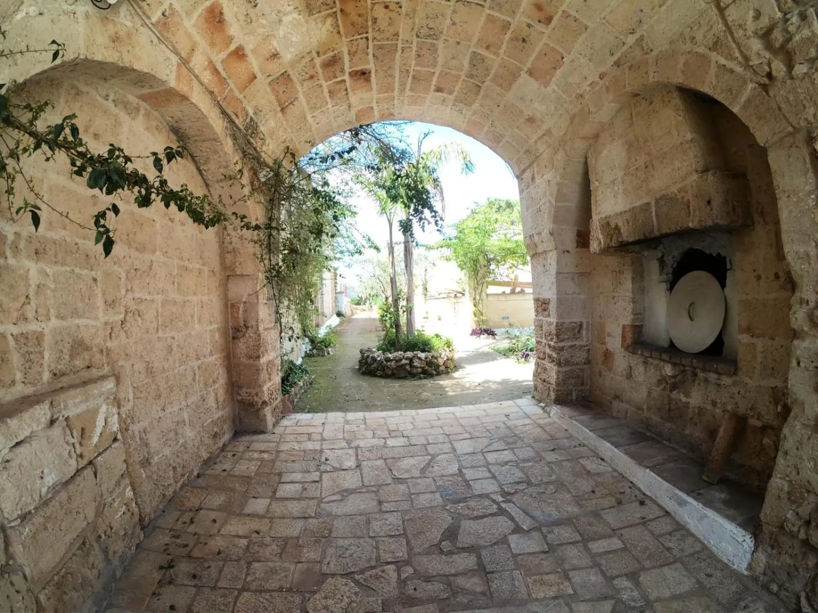 Garden view in Agriturismo Tenuta Mazzetta