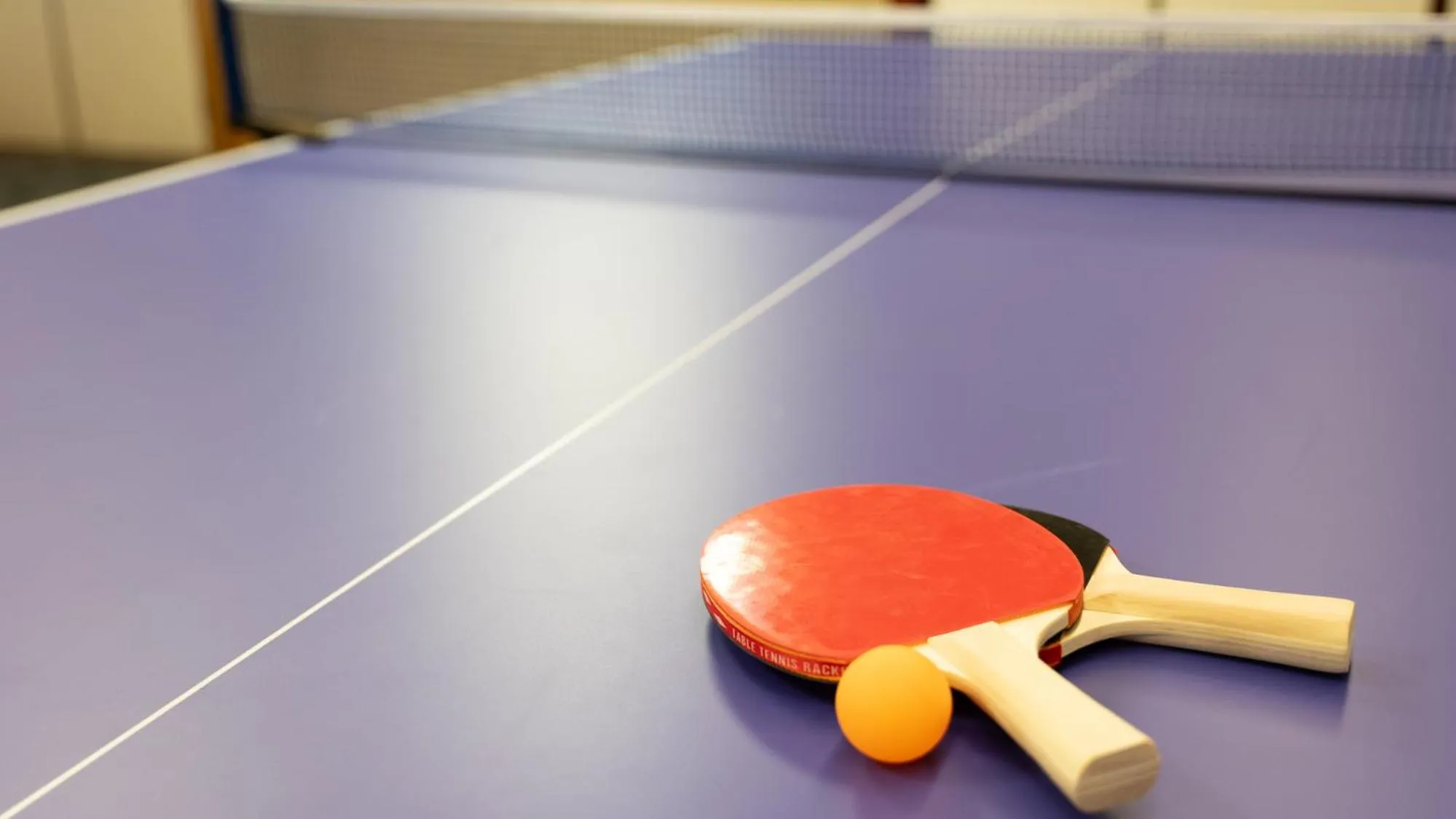 Table tennis in LiVEMAX Resort Echigo Yuzawa