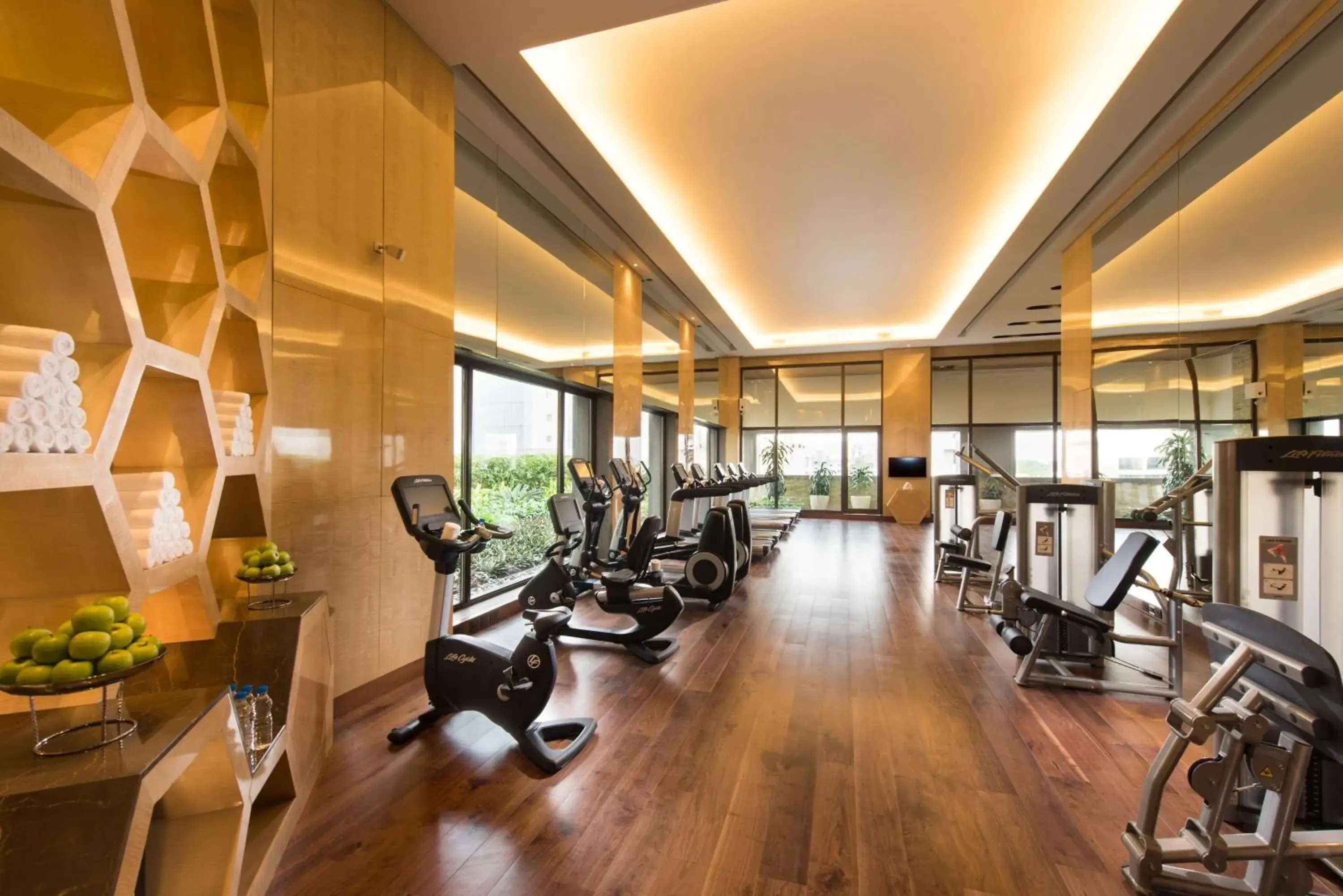 Fitness centre/facilities in Conrad Pune Fitness centre/facilities in Conrad Pune