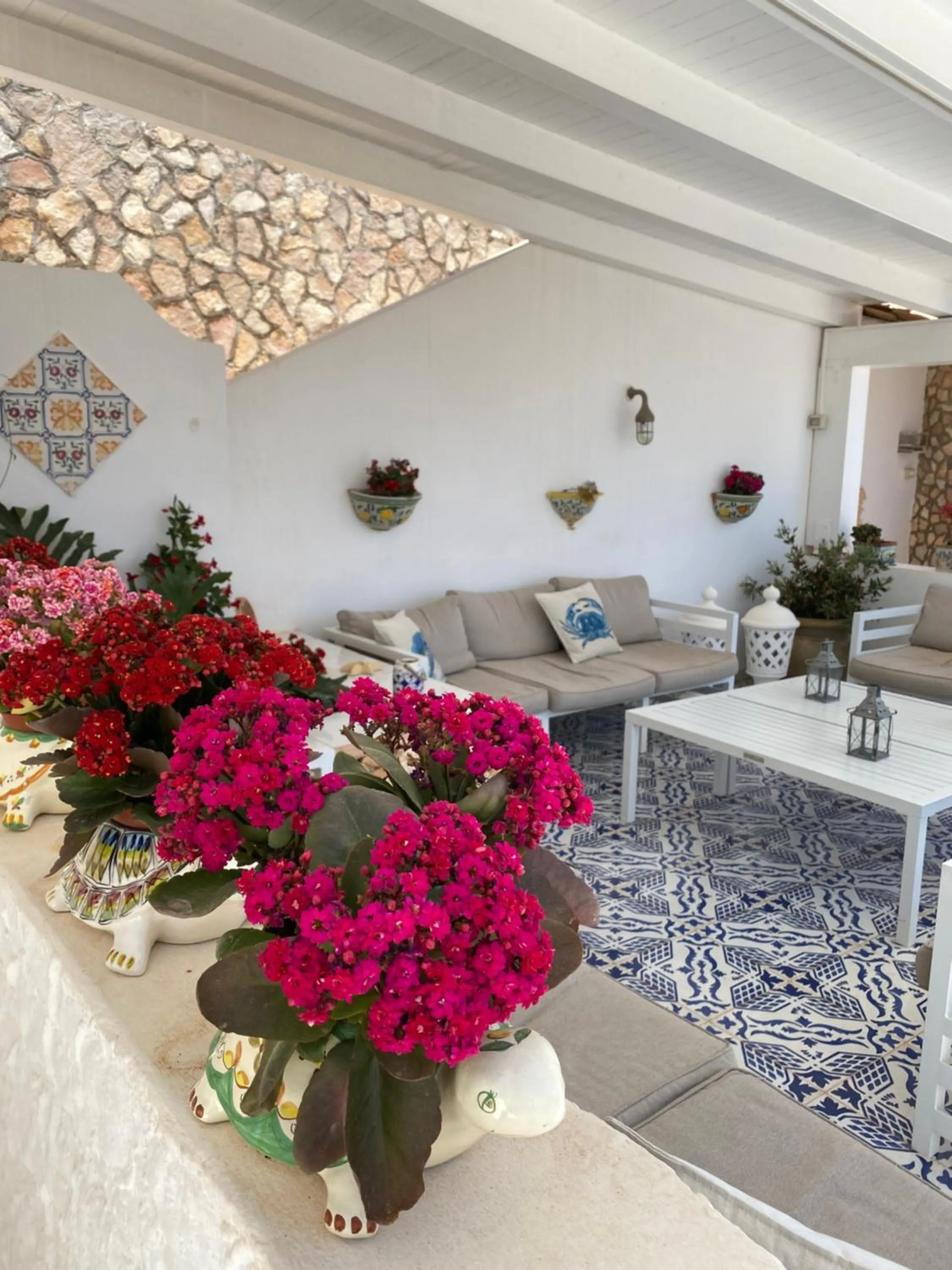 Hotel Macondo