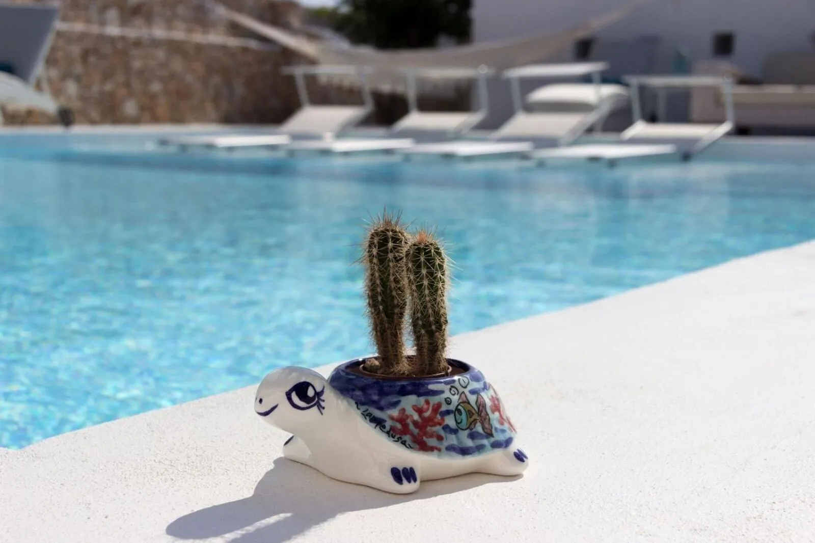 Swimming pool in Hotel Macondo