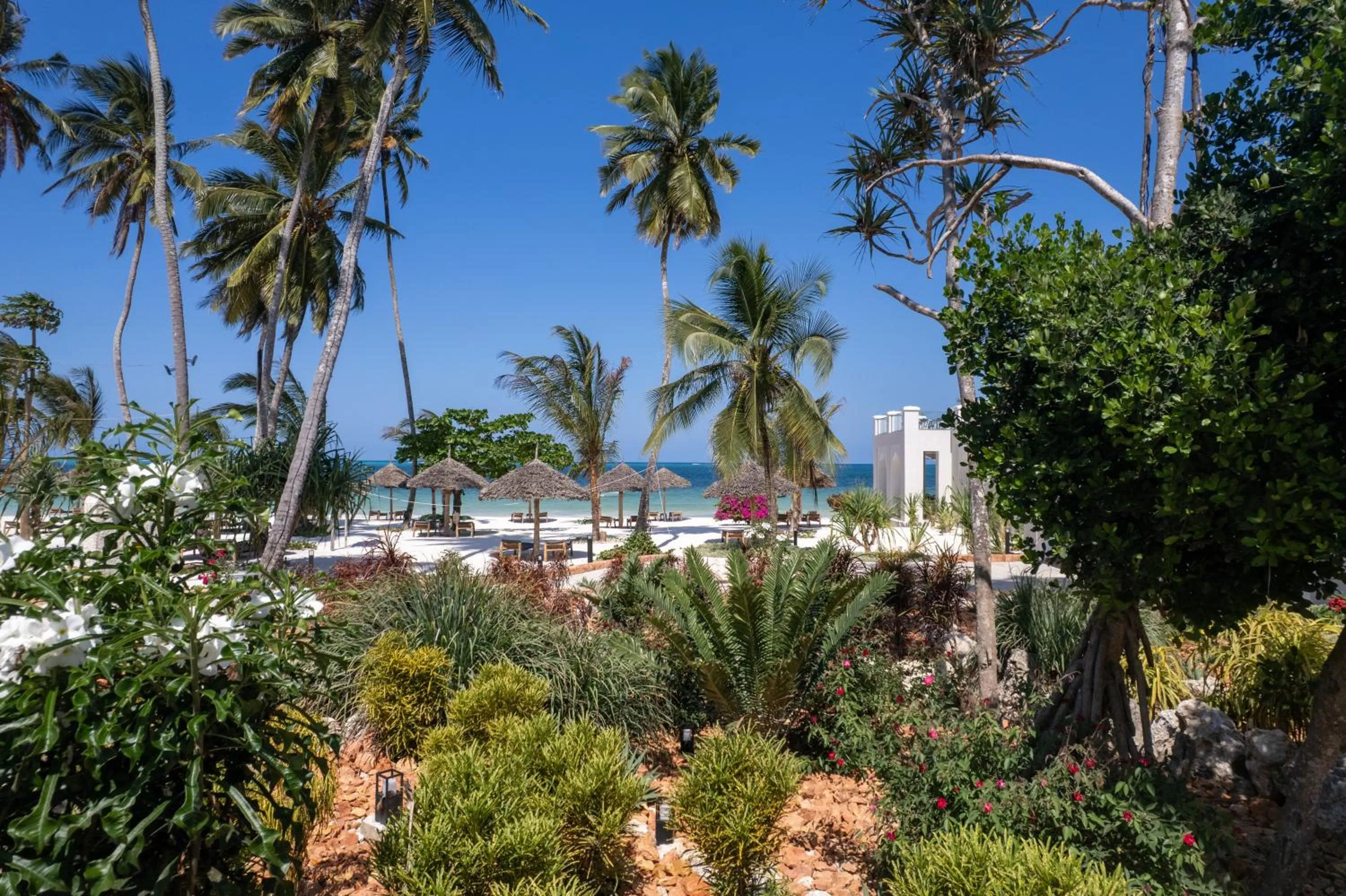 Natural landscape in Tembo Kiwengwa Resort