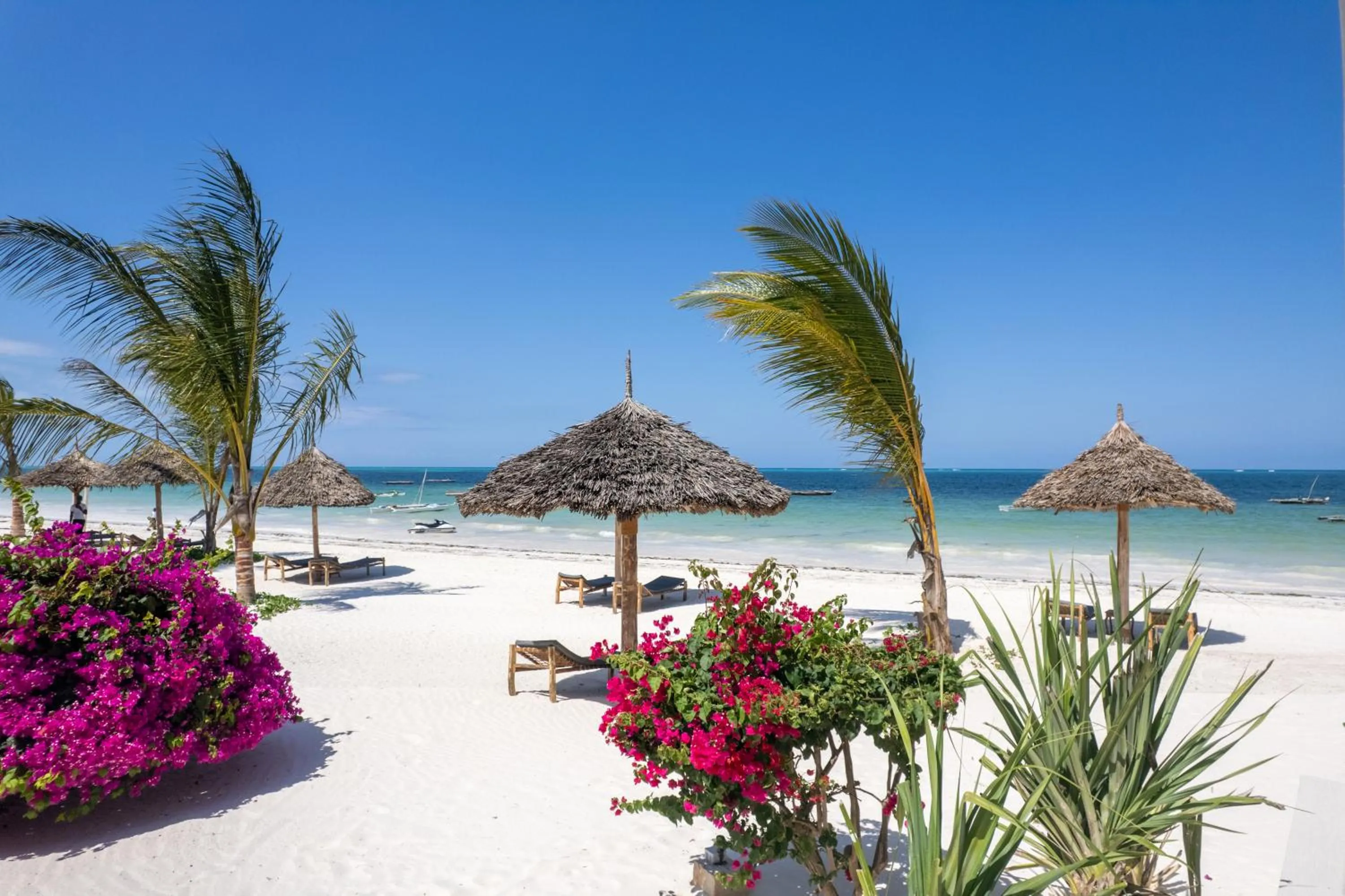 Natural landscape in Tembo Kiwengwa Resort