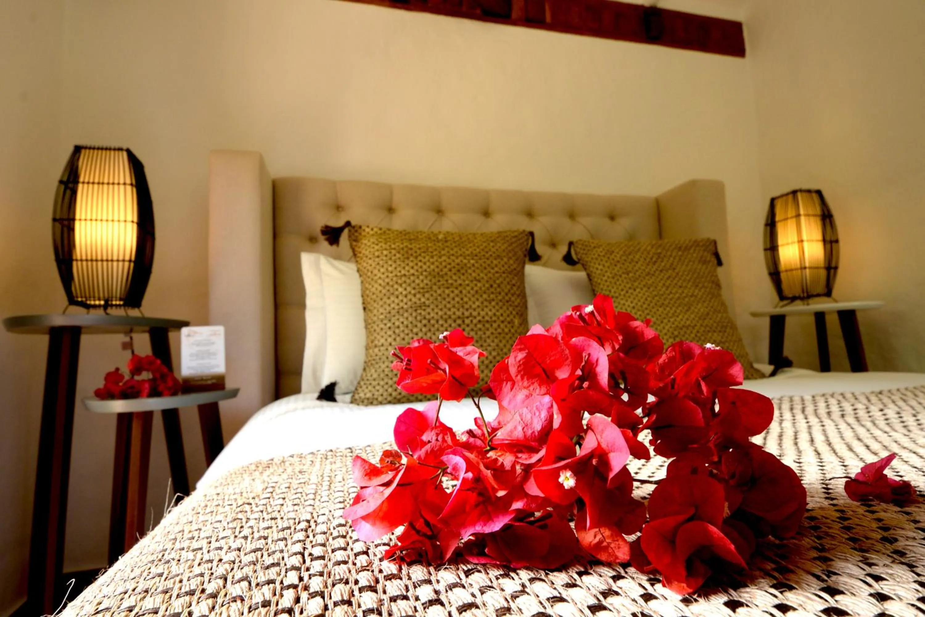 Bed in Hotel Casa Terra