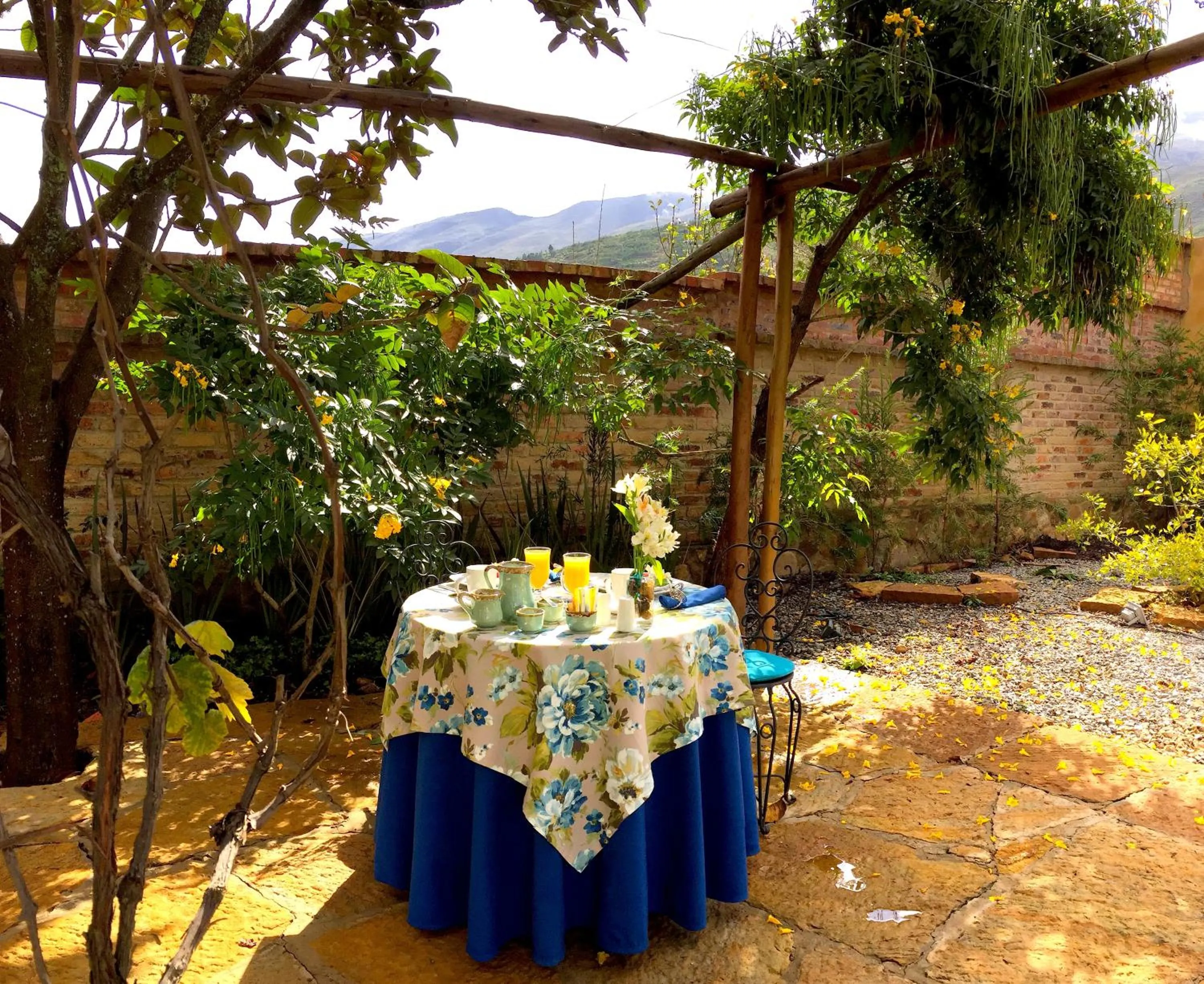 Balcony/Terrace in Hotel Casa Terra