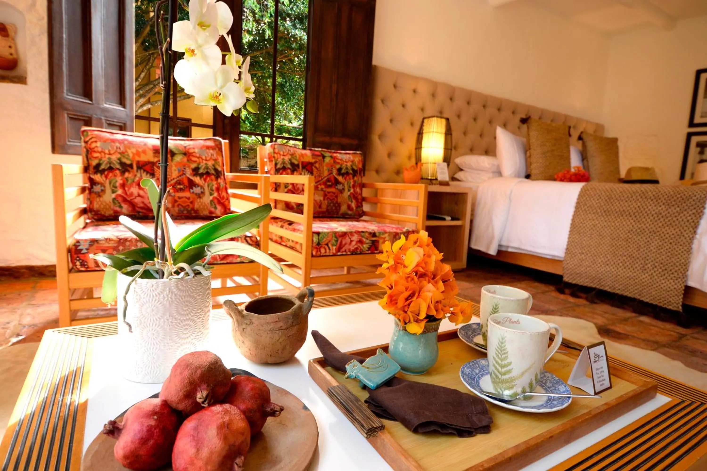 Photo of the whole room in Hotel Casa Terra