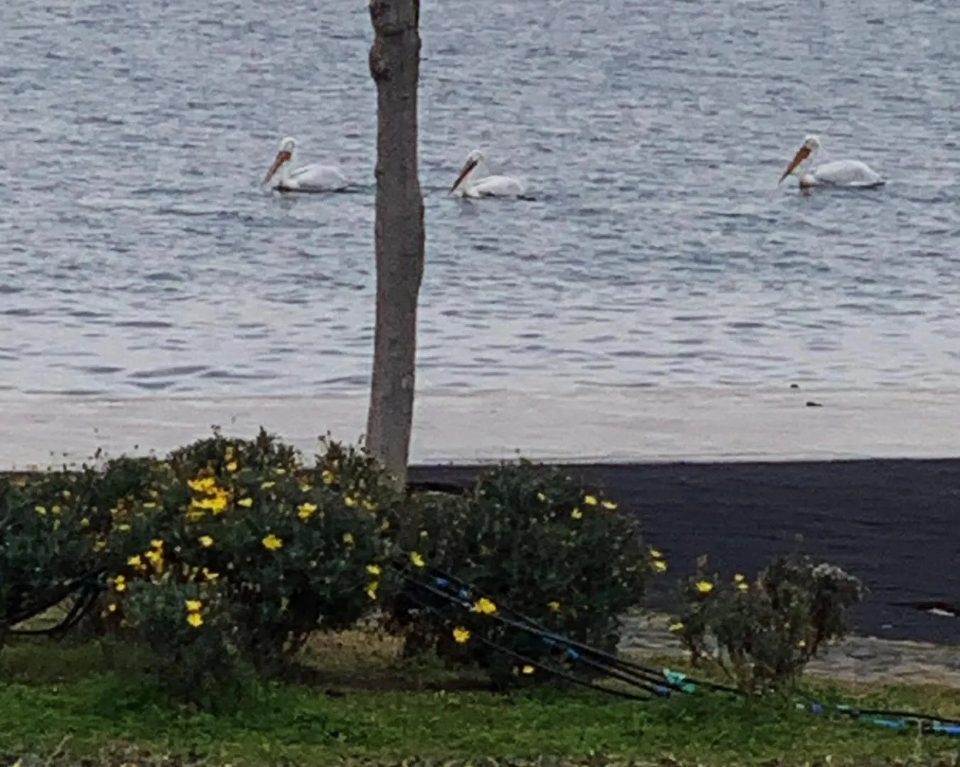 Sea view in RUKA Hotel