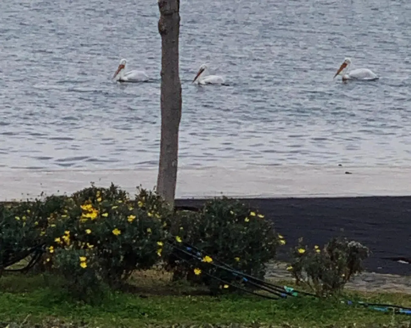 Sea view in RUKA Hotel Sea view in RUKA Hotel