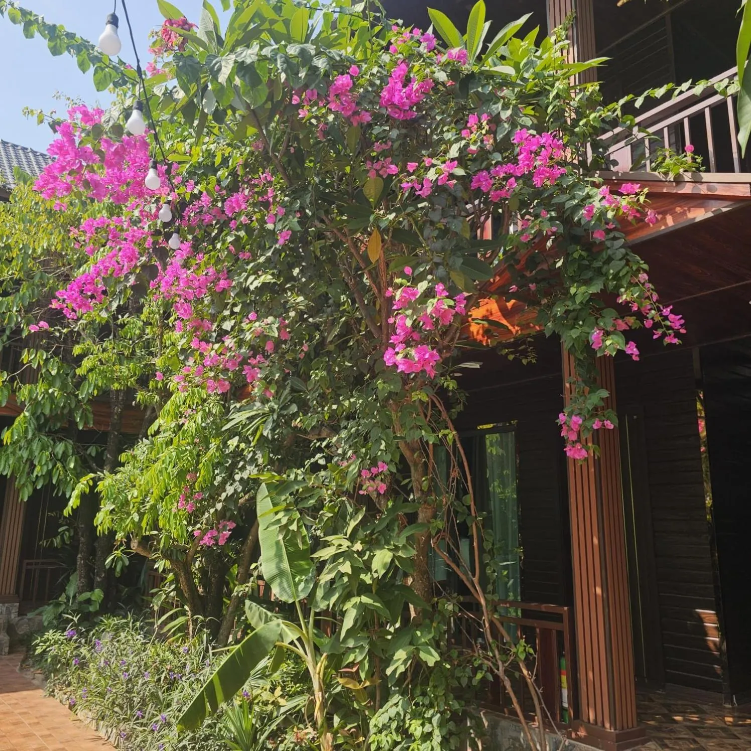 Natural landscape in Champa Phan Boutique Hotel