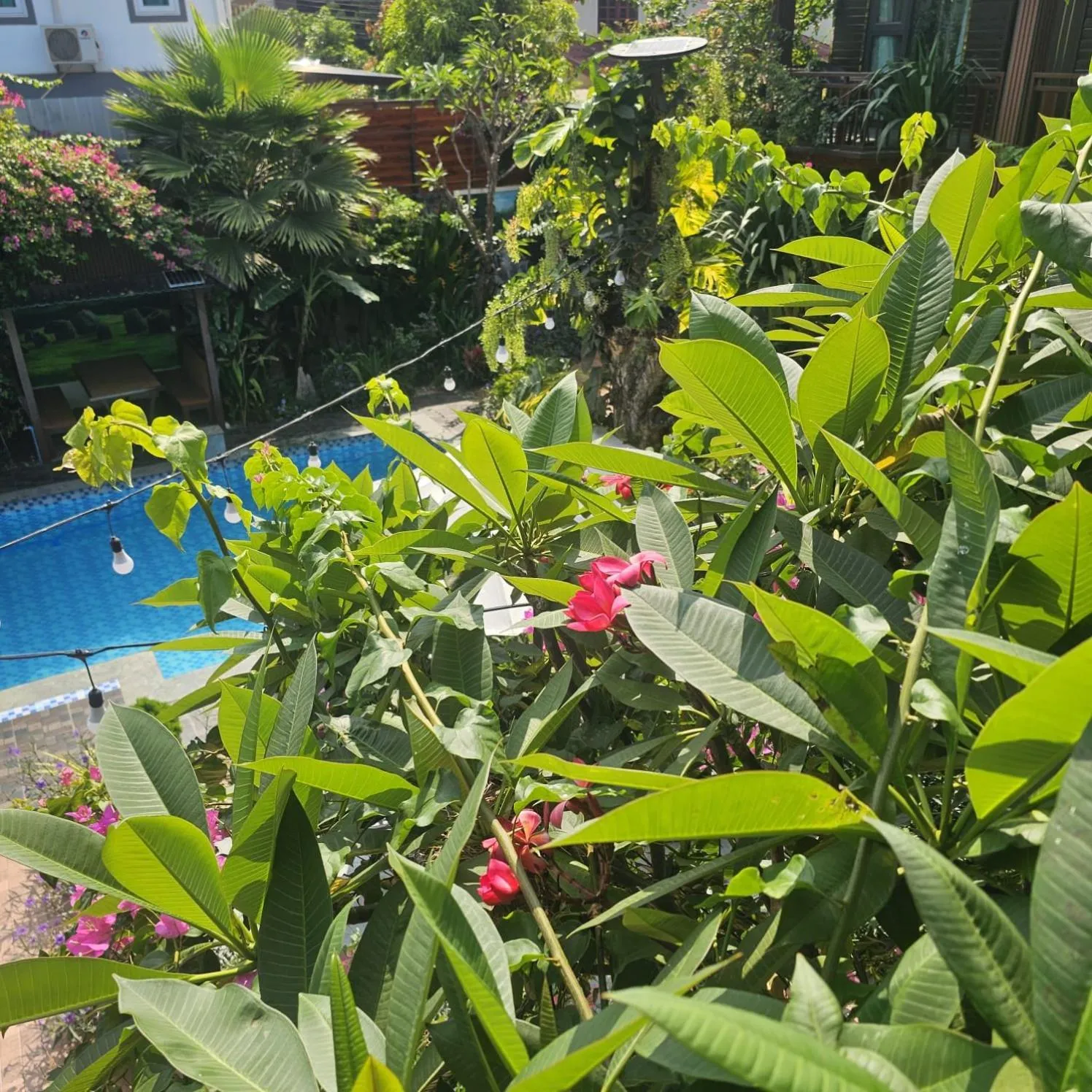 Garden in Champa Phan Boutique Hotel