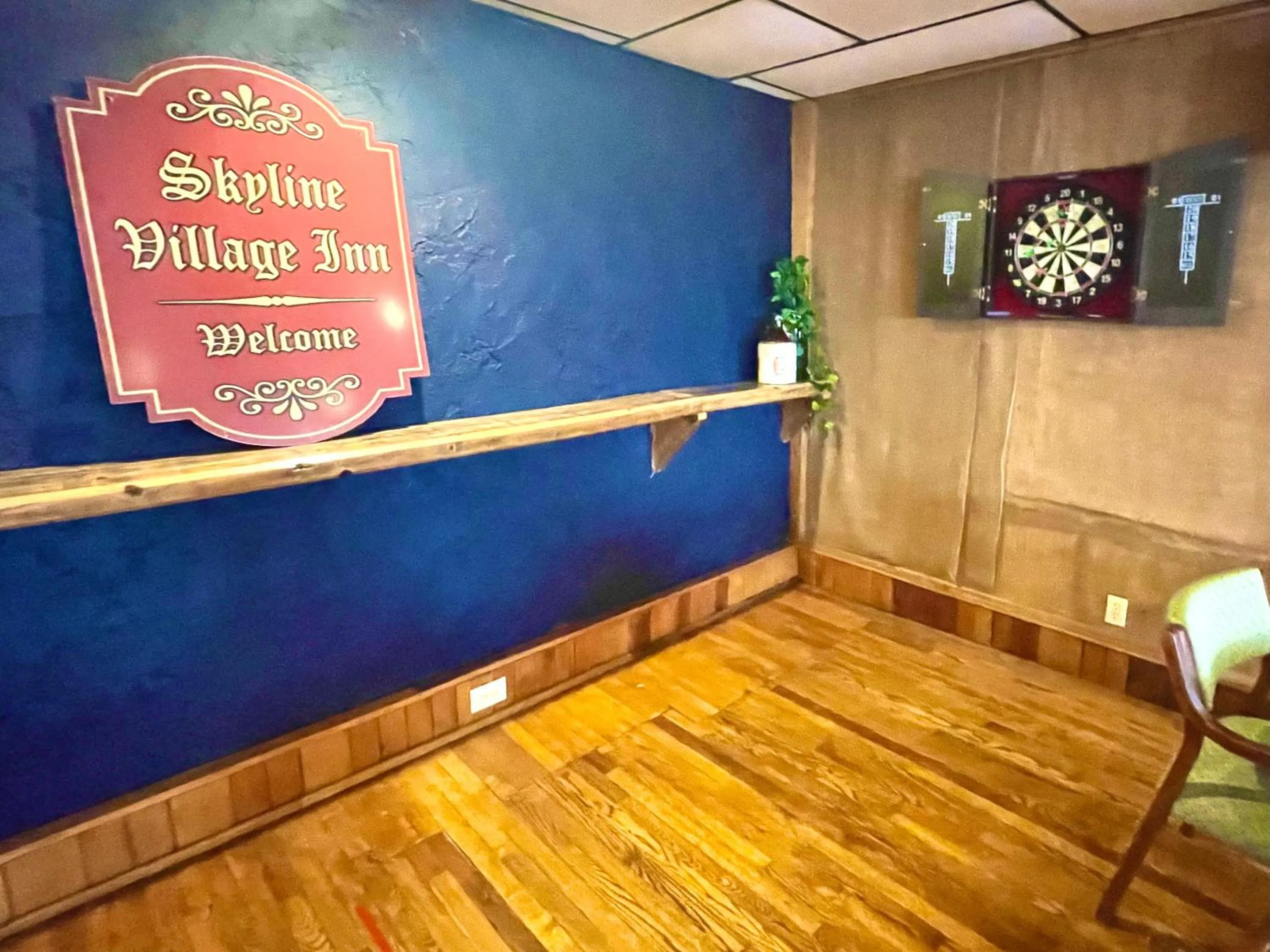 Darts in Skyline Village Inn