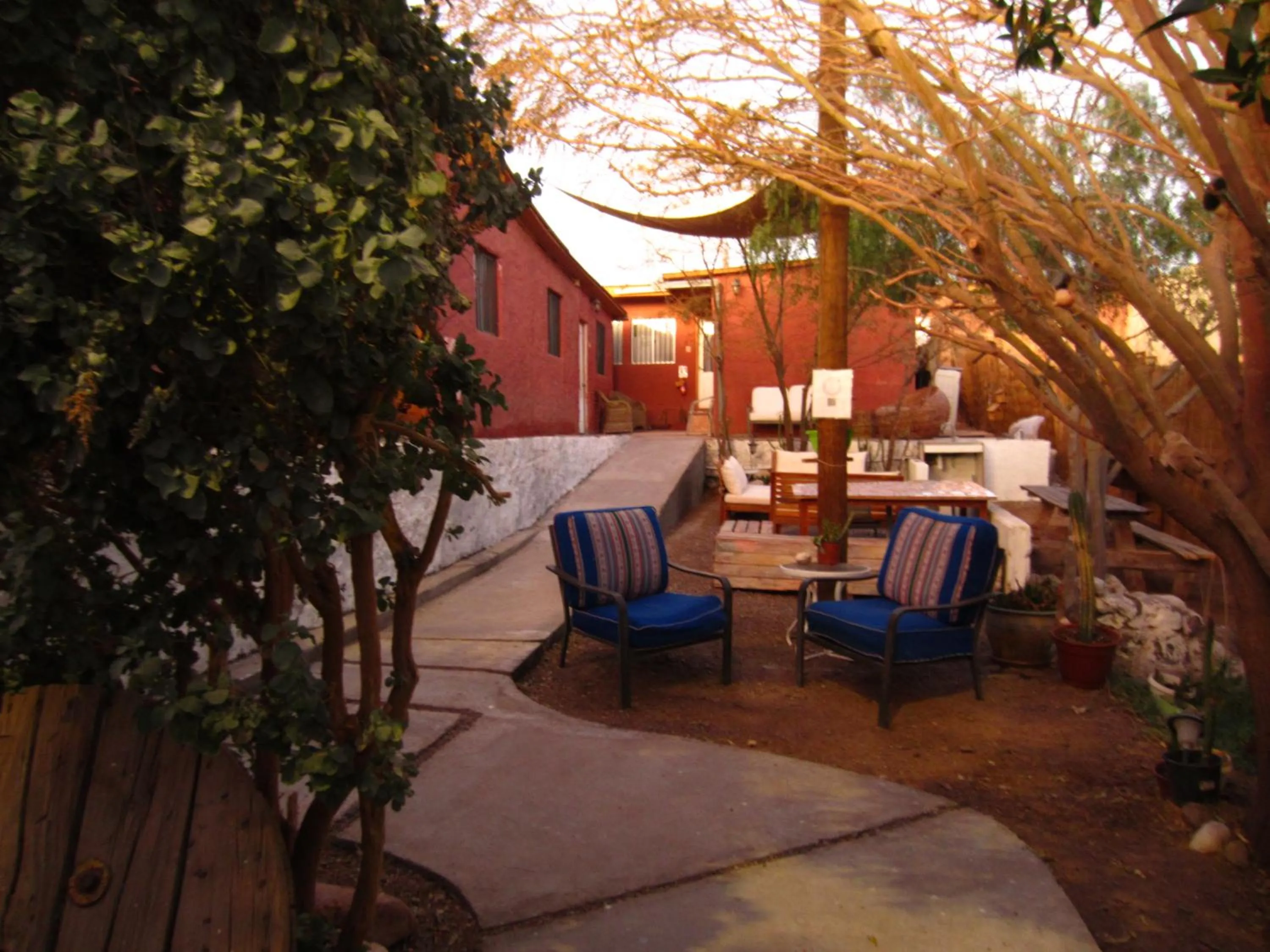 Garden in Tambo Norte