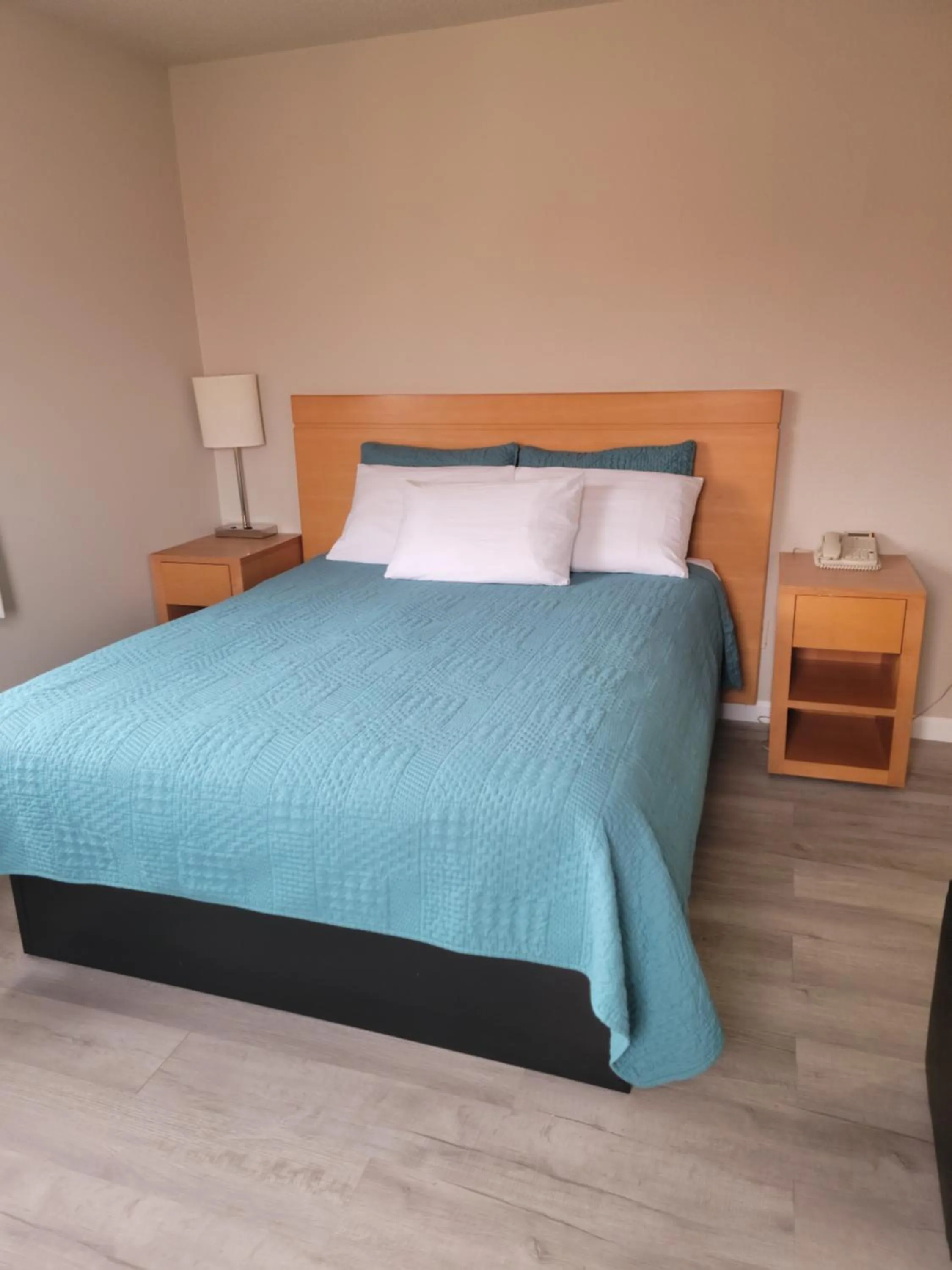 Standard Queen Room in Garden of the Gods Motel