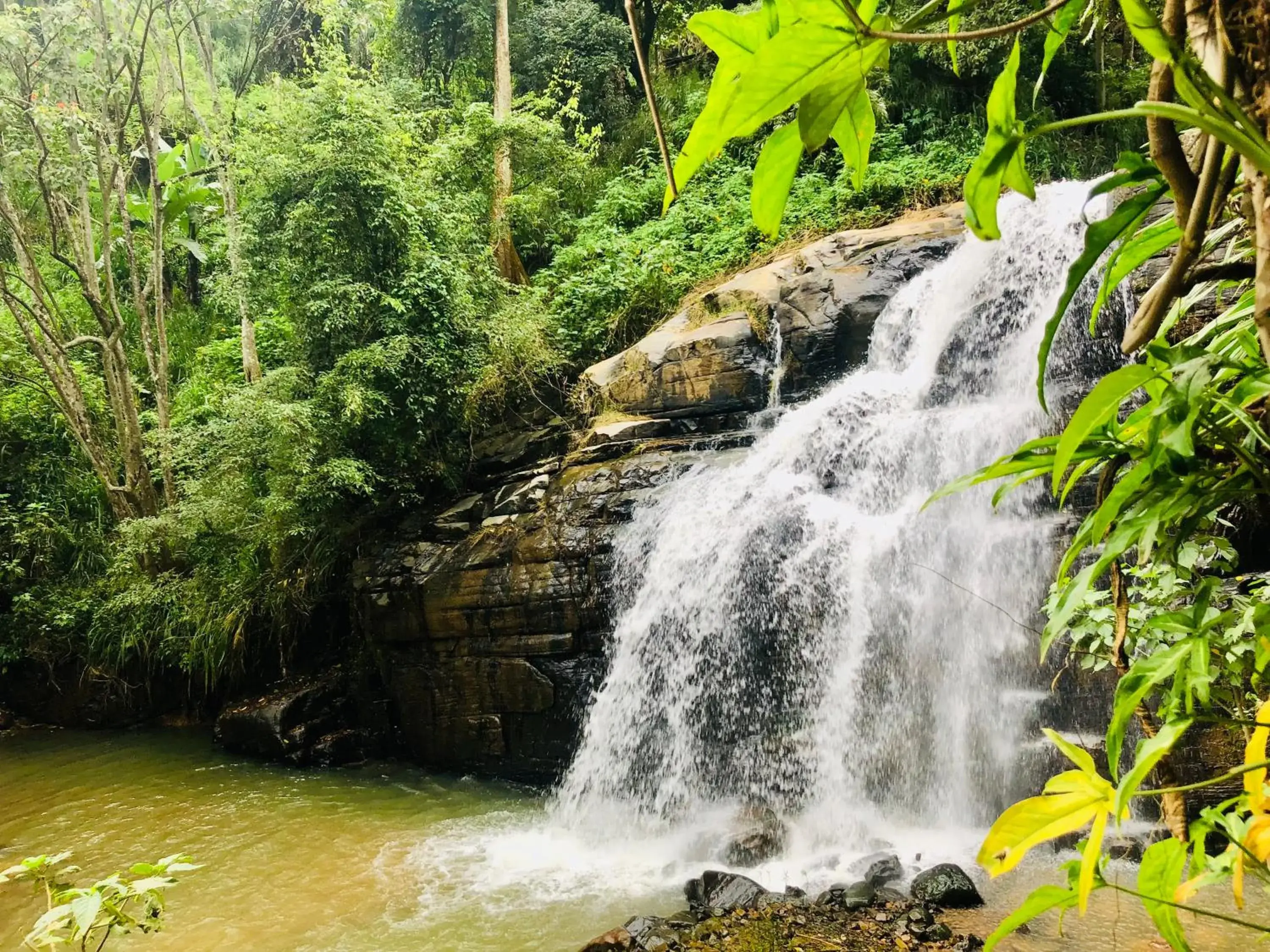 River Splendour Home Stay River Splendour Home Stay
