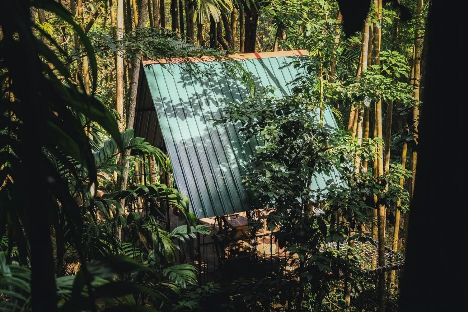 River Splendour Home Stay