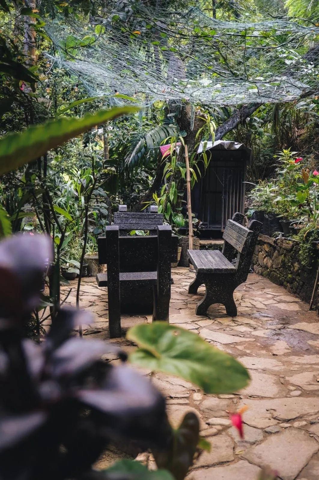 River Splendour Home Stay