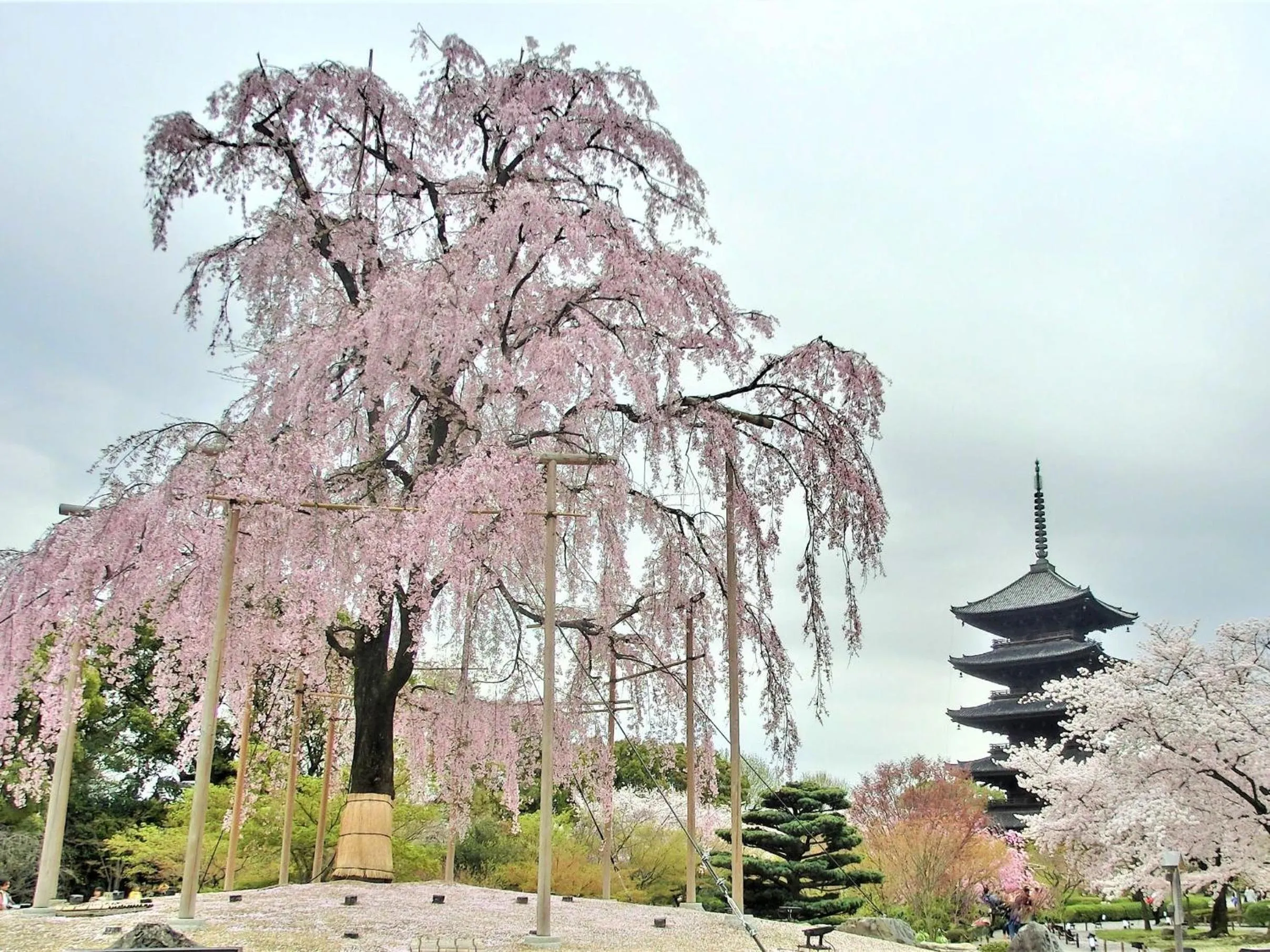 Nearby landmark in Stay SAKURA Kyoto Station Shichijo
