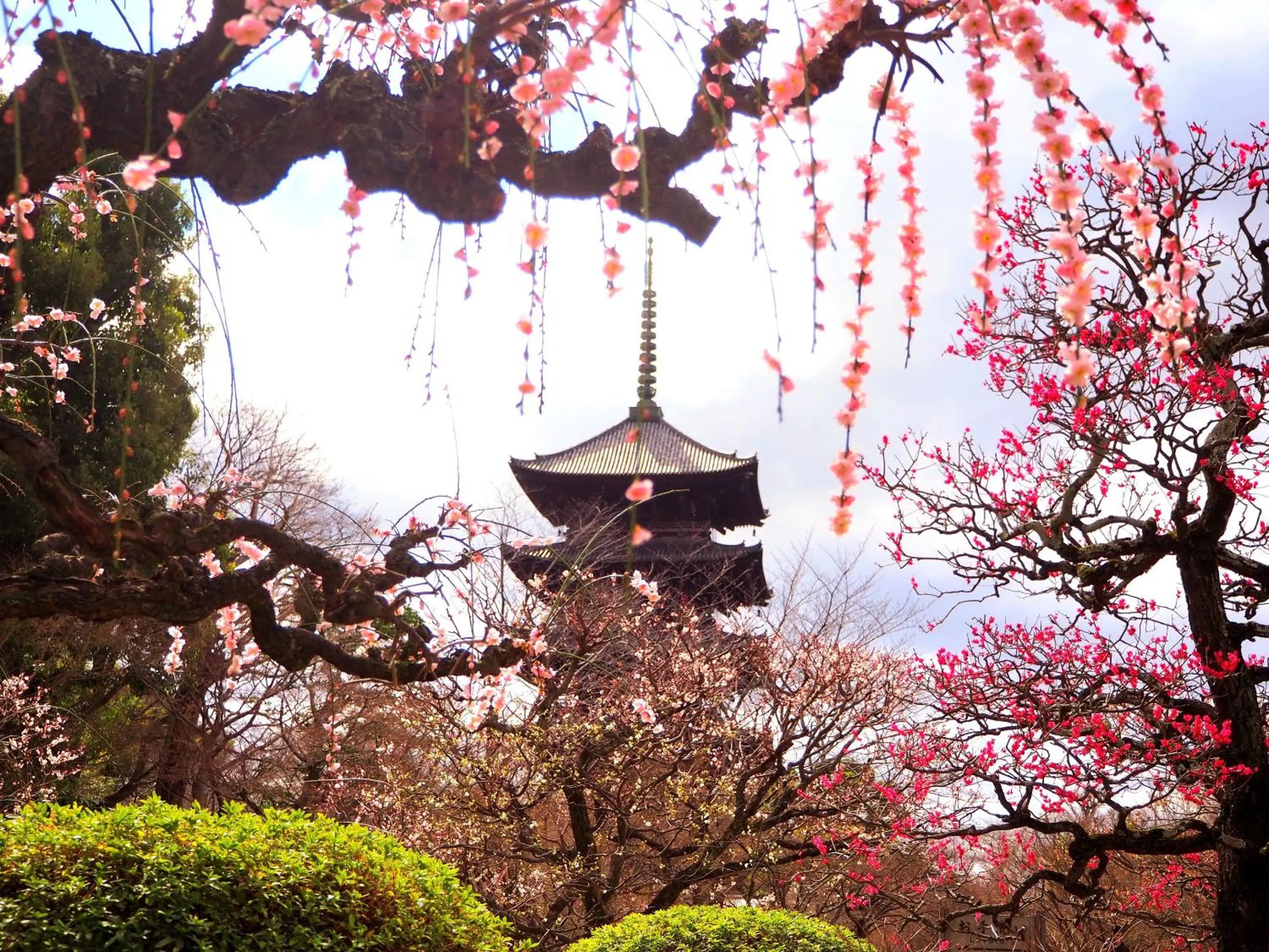 Nearby landmark in Stay SAKURA Kyoto Station Shichijo