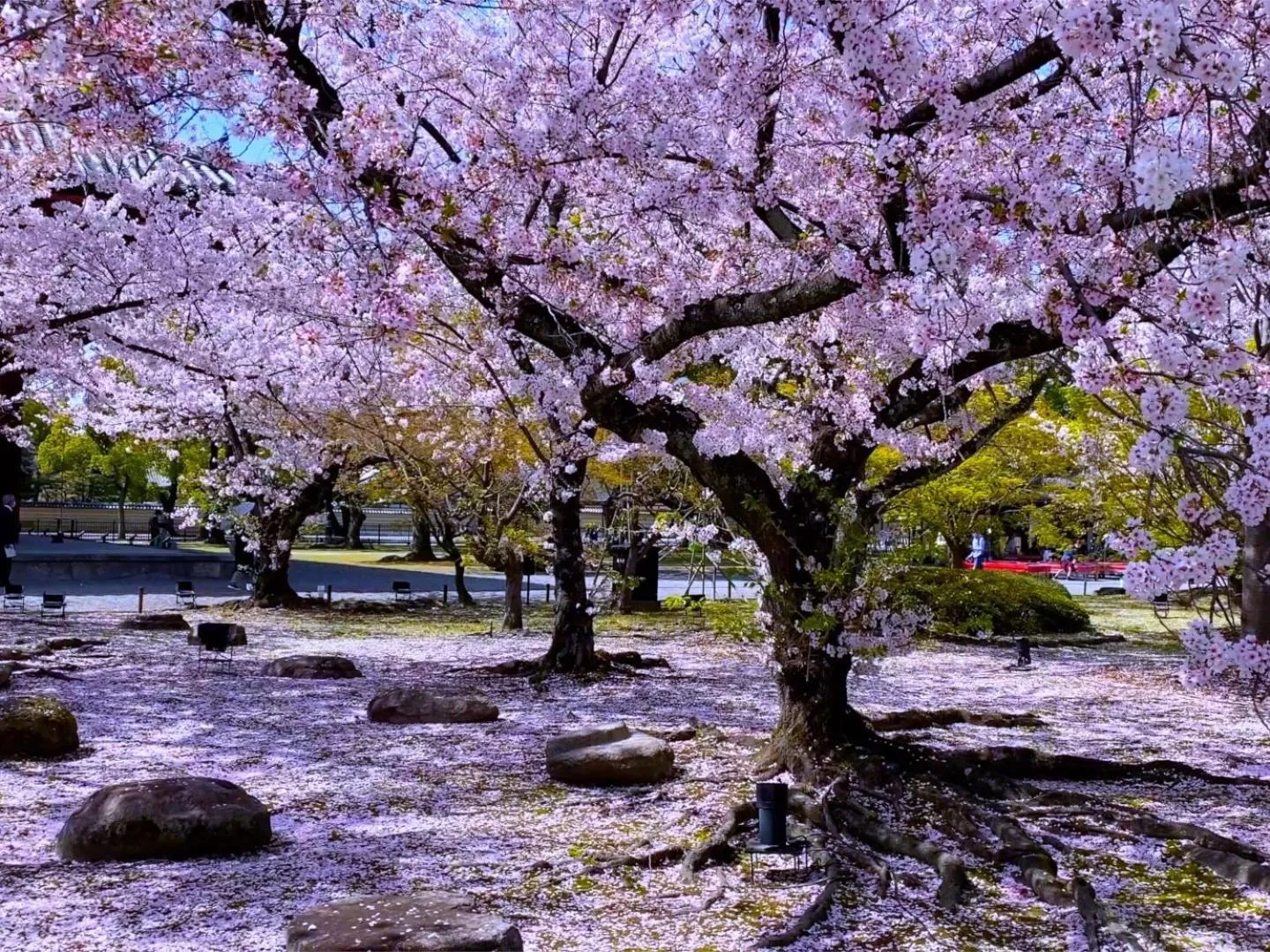 Nearby landmark in Stay SAKURA Kyoto Station Shichijo