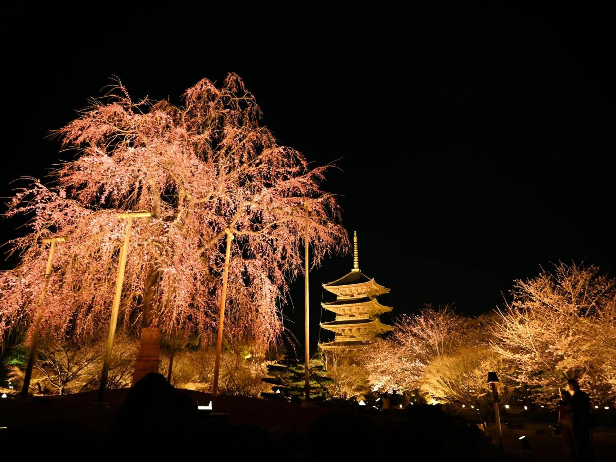 Nearby landmark in Stay SAKURA Kyoto Station Shichijo