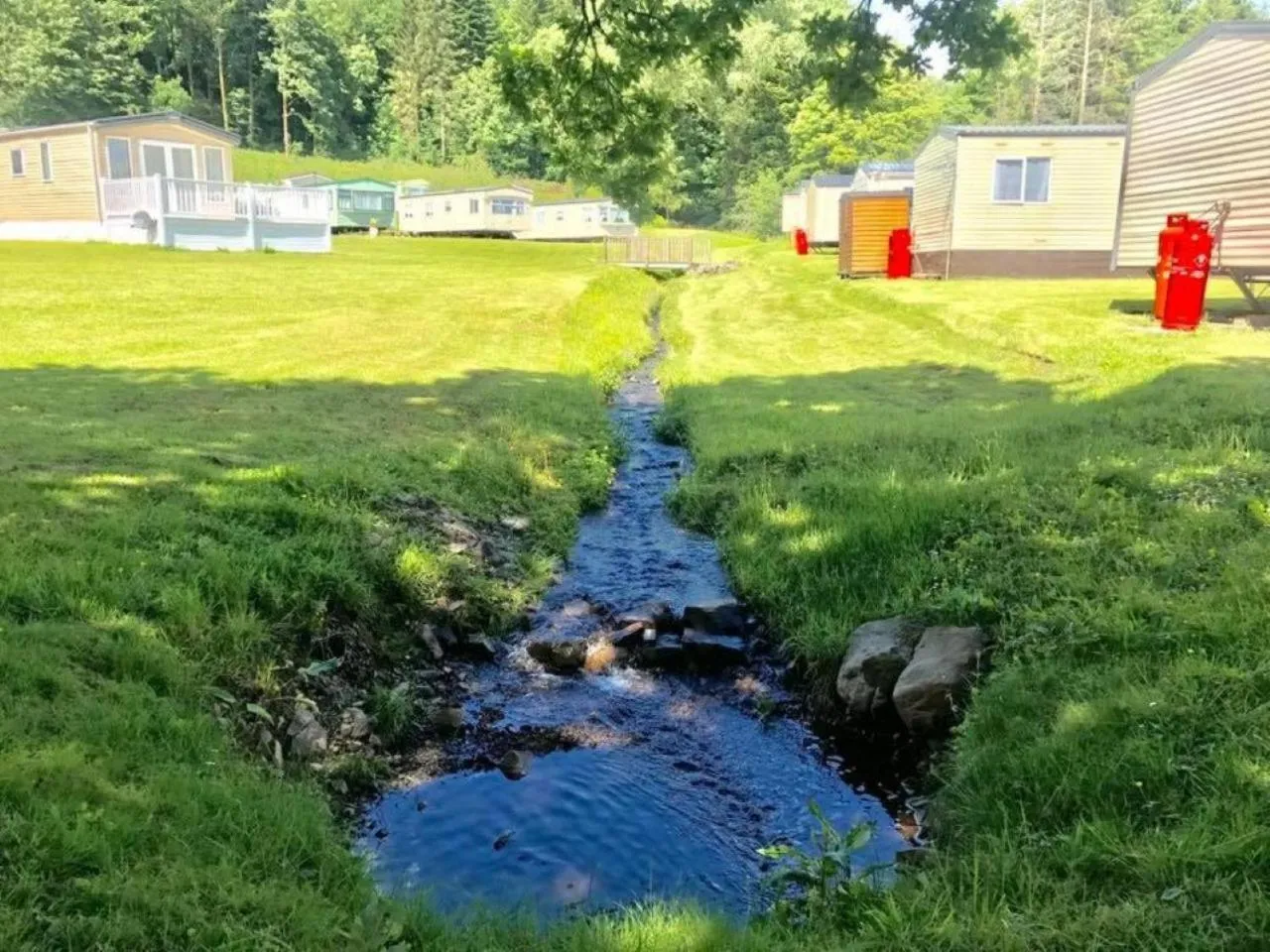 Garden in Moffat Manor Holiday Resort