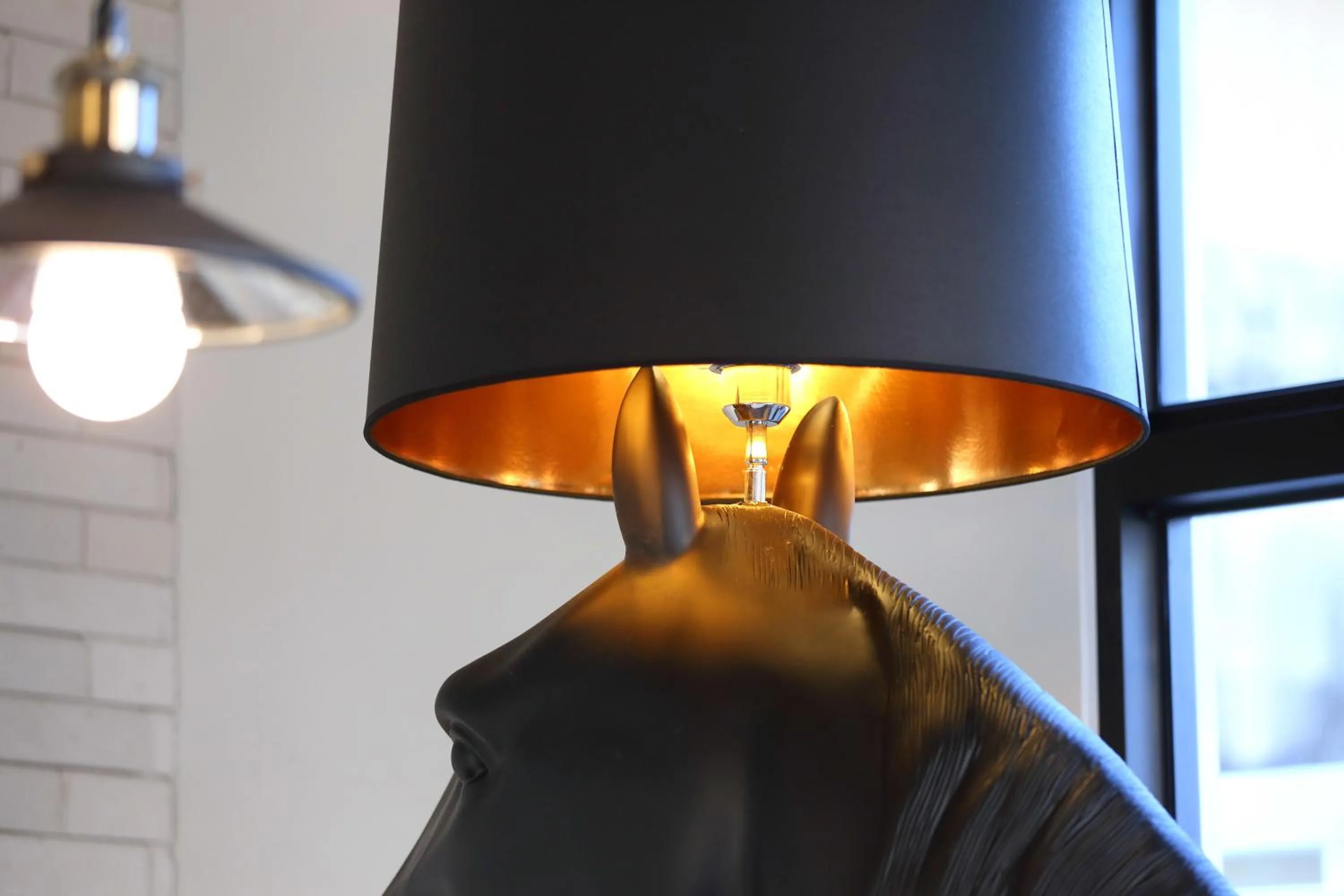 Pets in 1999 homestay