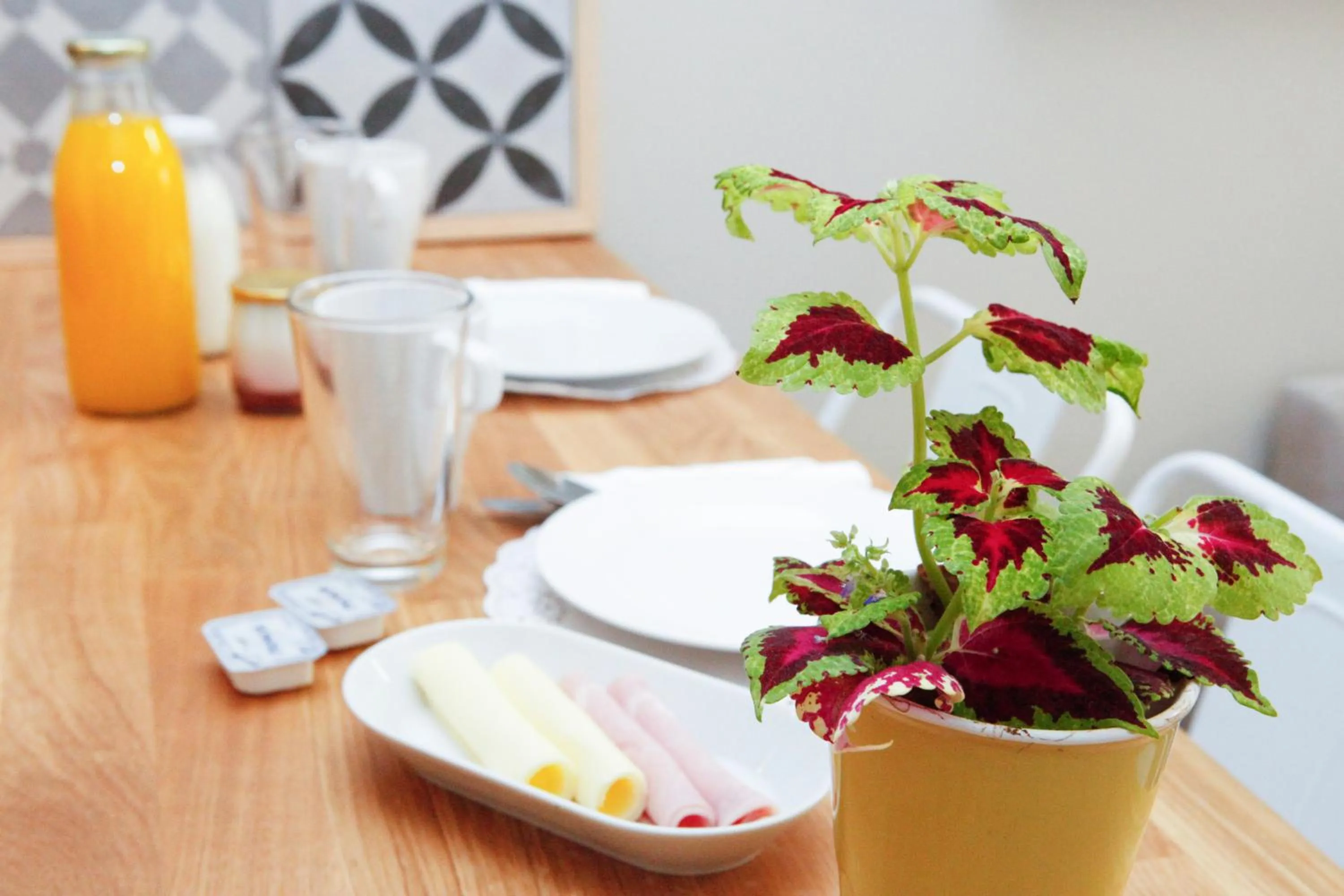 Kitchen or kitchenette in Flores Guest House