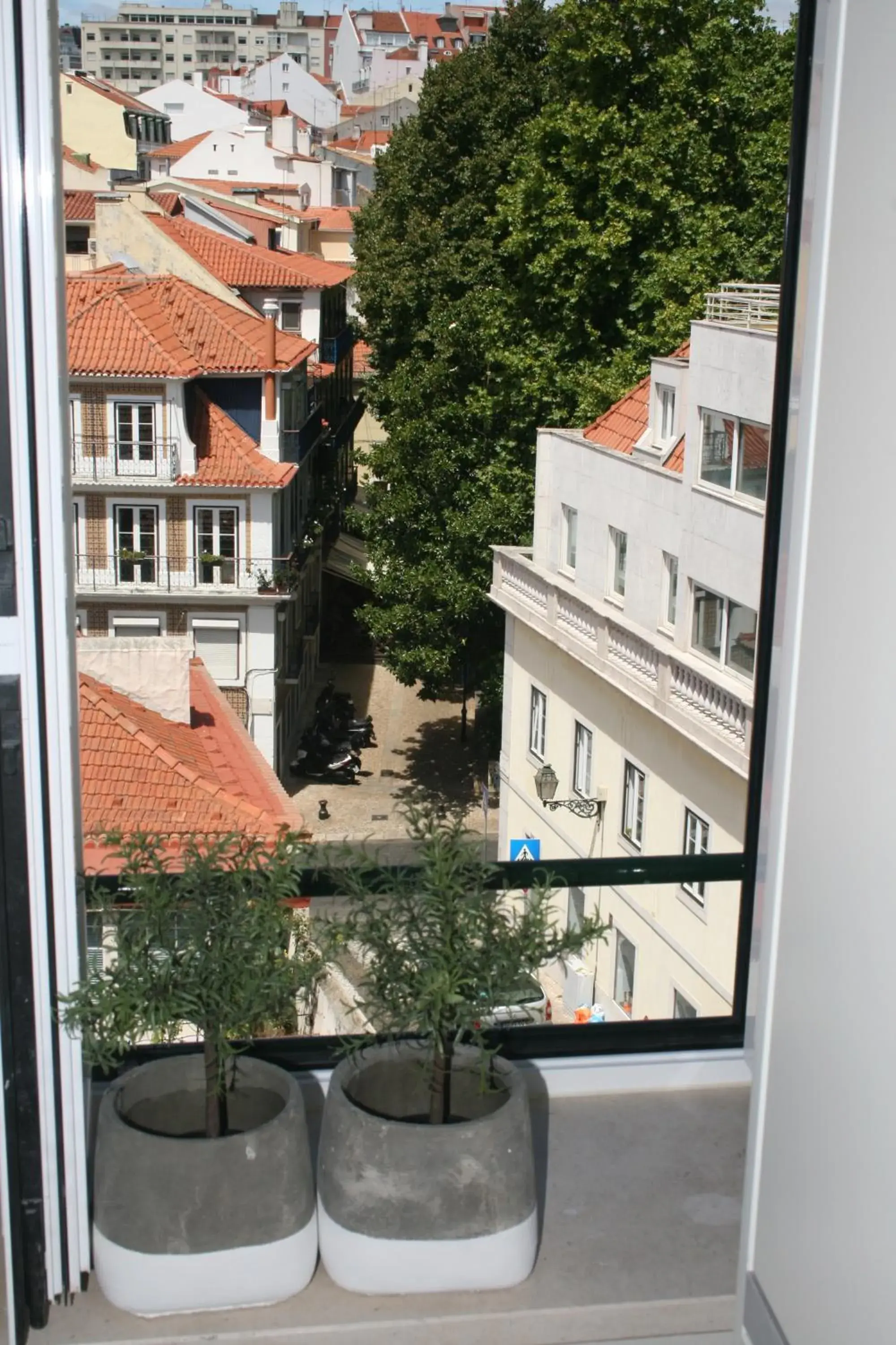 Street view in Flores Guest House Street view in Flores Guest House