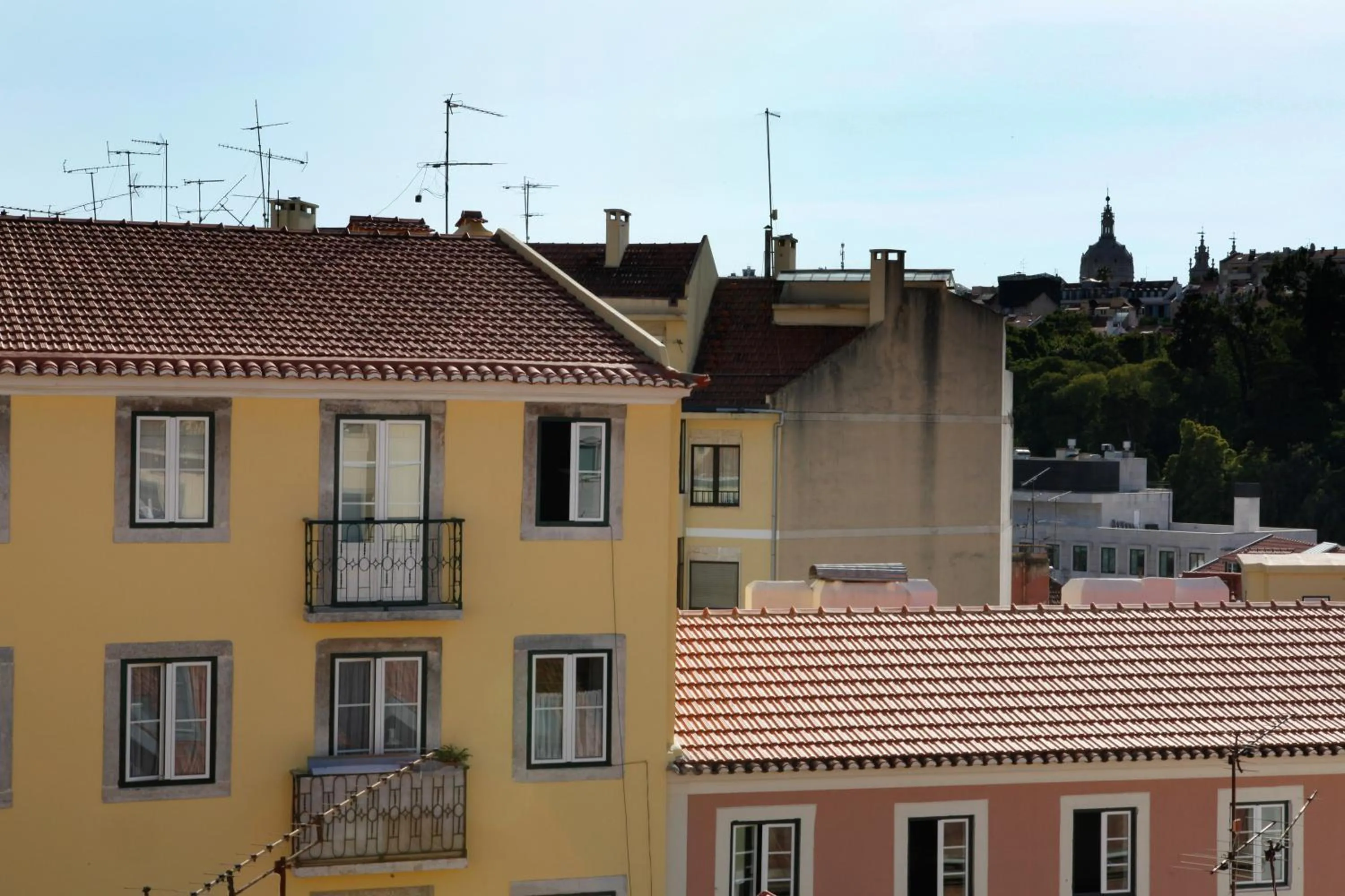 View (from property/room) in Flores Guest House