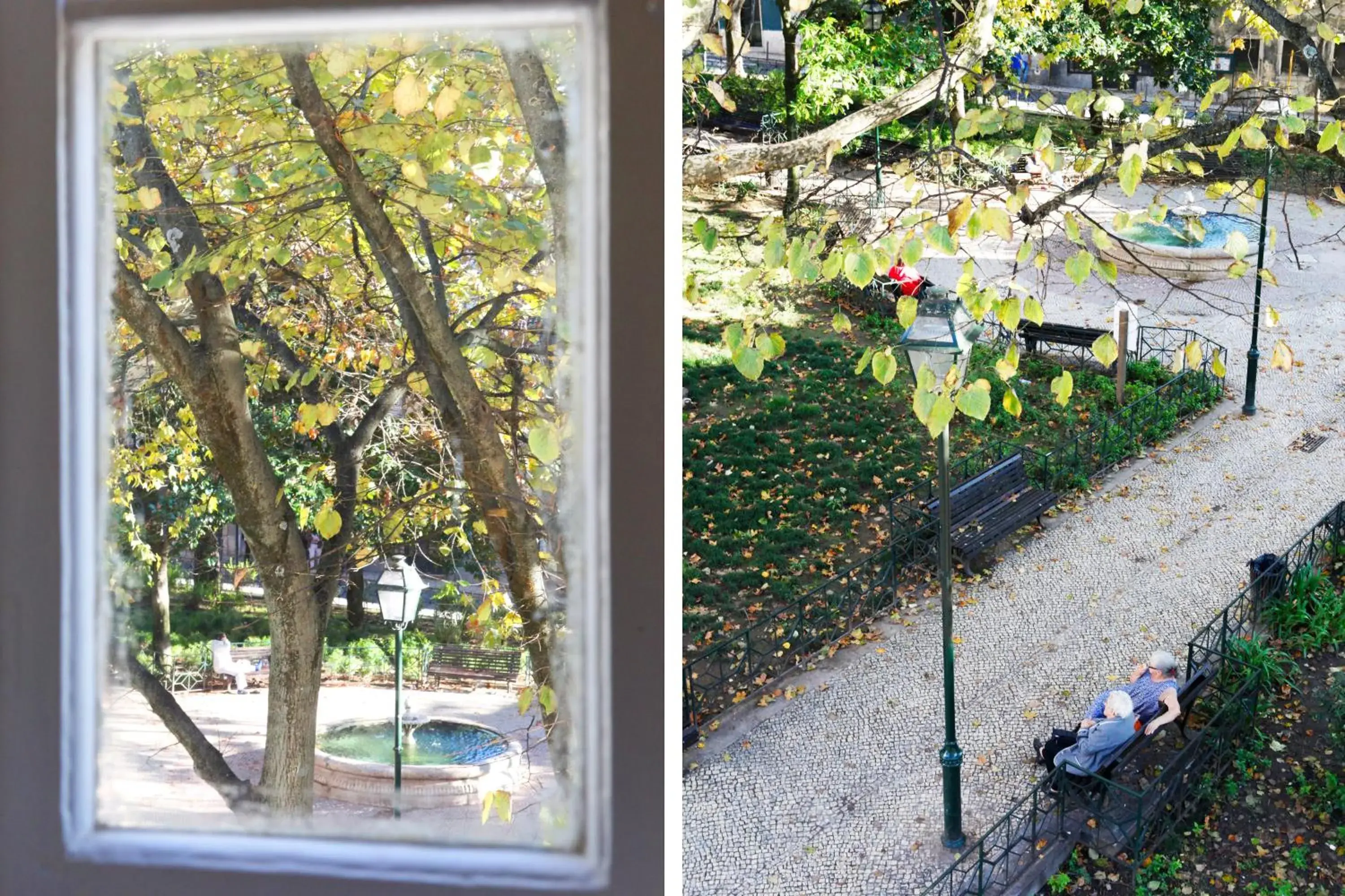 Garden view in Flores Guest House Garden view in Flores Guest House