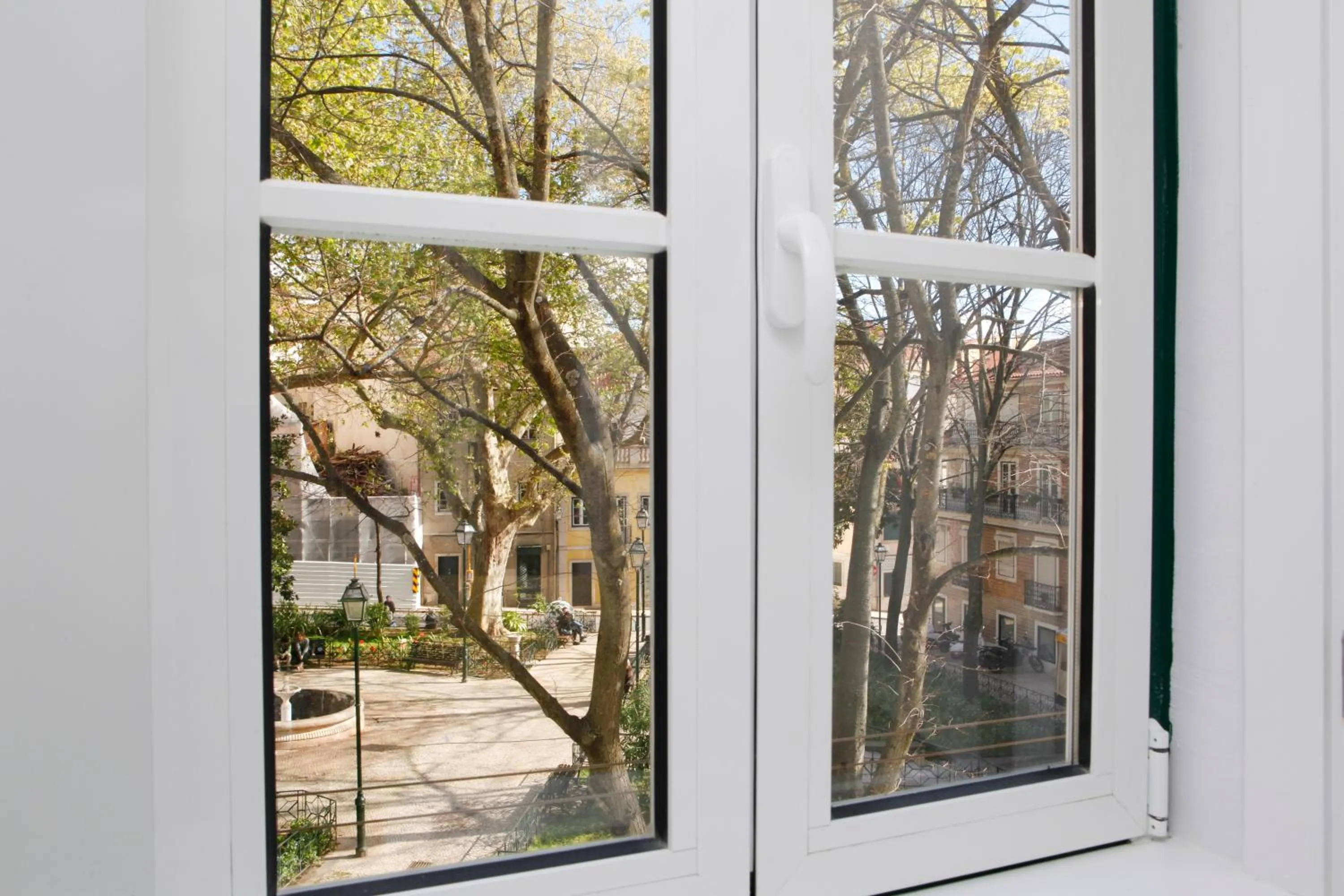 Garden view in Flores Guest House