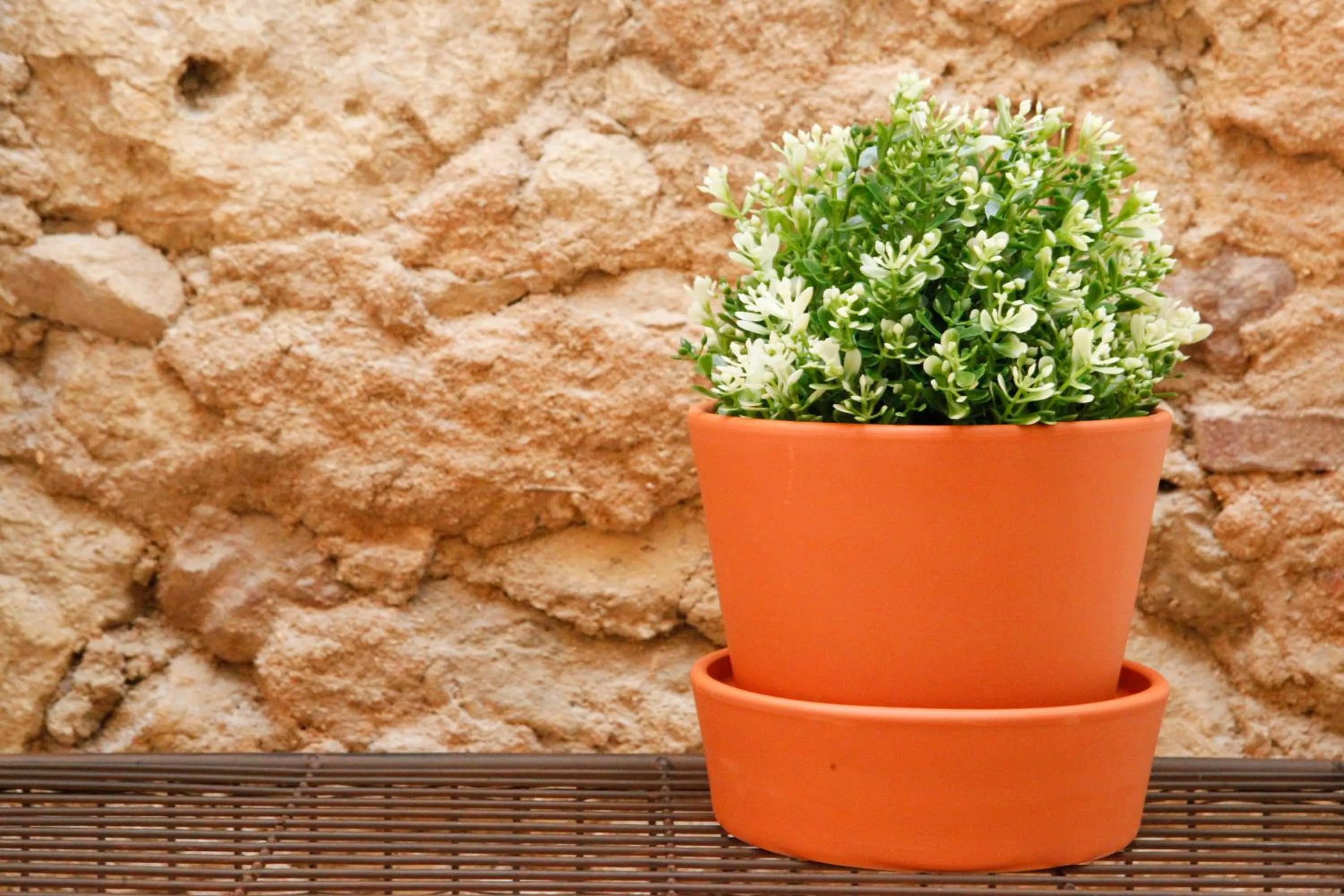Decorative detail in Flores Guest House
