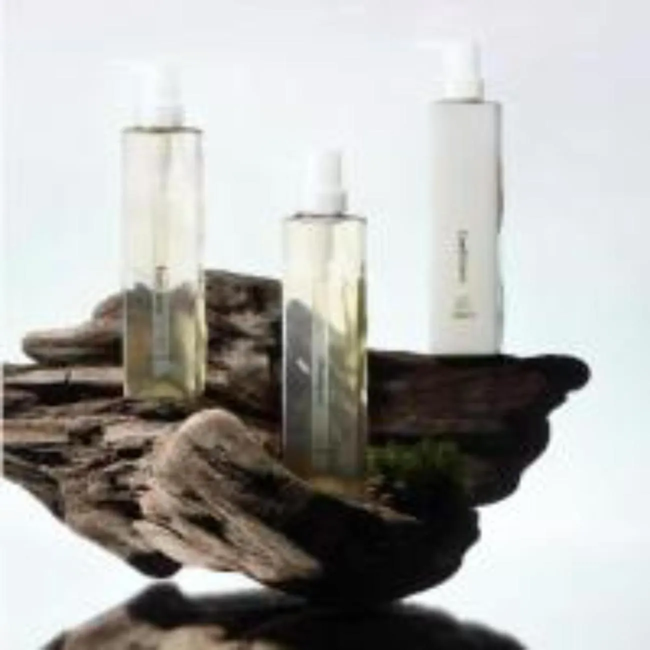 Richmond Hotel Premier Asakusa International