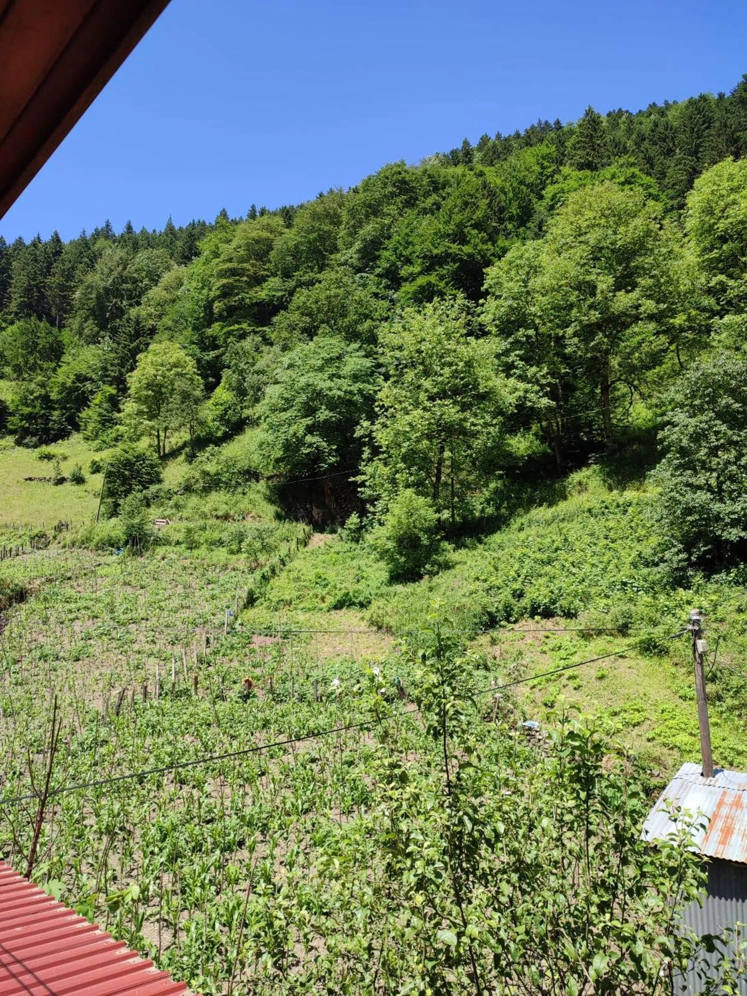 Natural landscape in Karagoz Apart Pansiyon