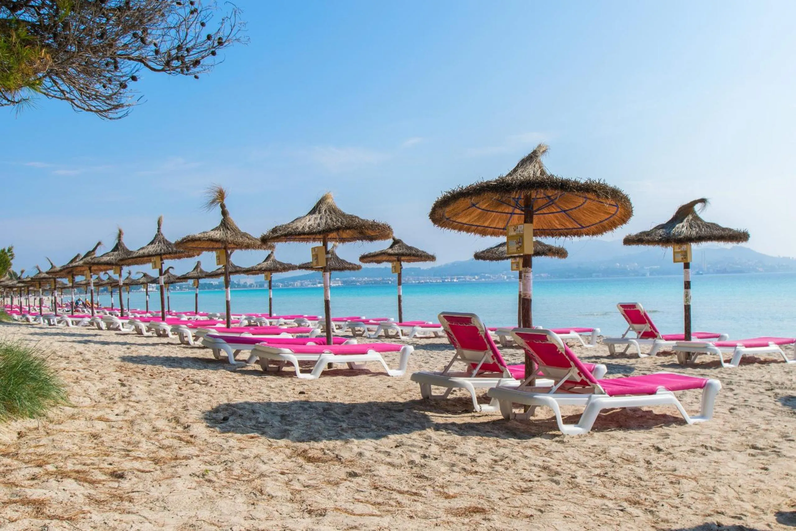 Activities in Ilusion Vista Blava