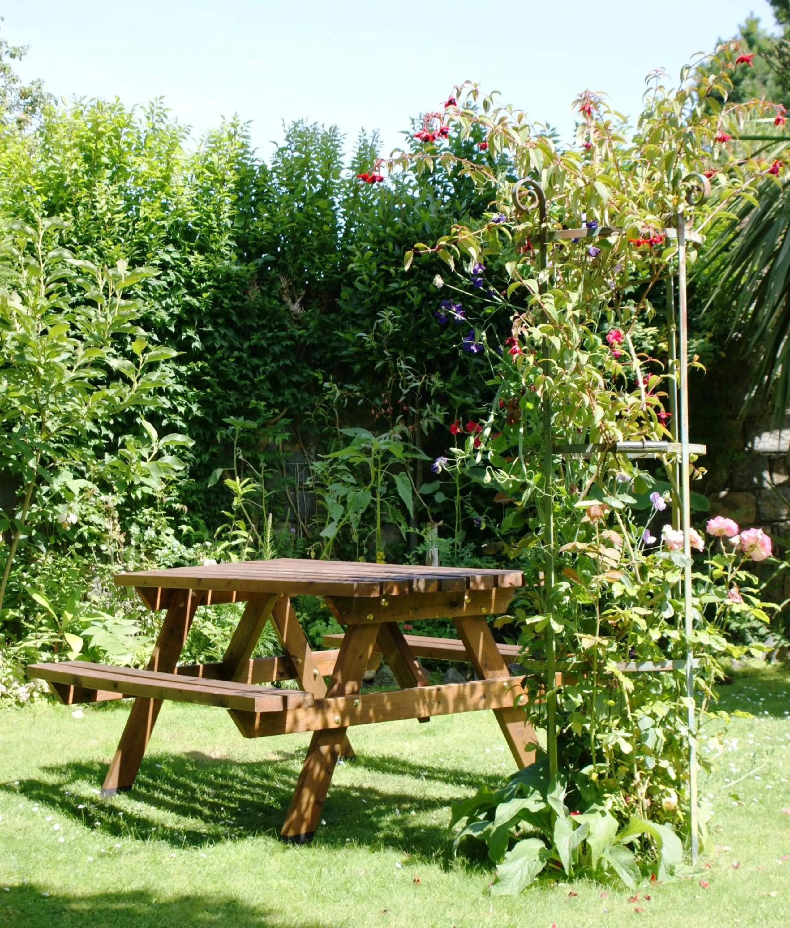 Garden in Grange Lodge Hotel