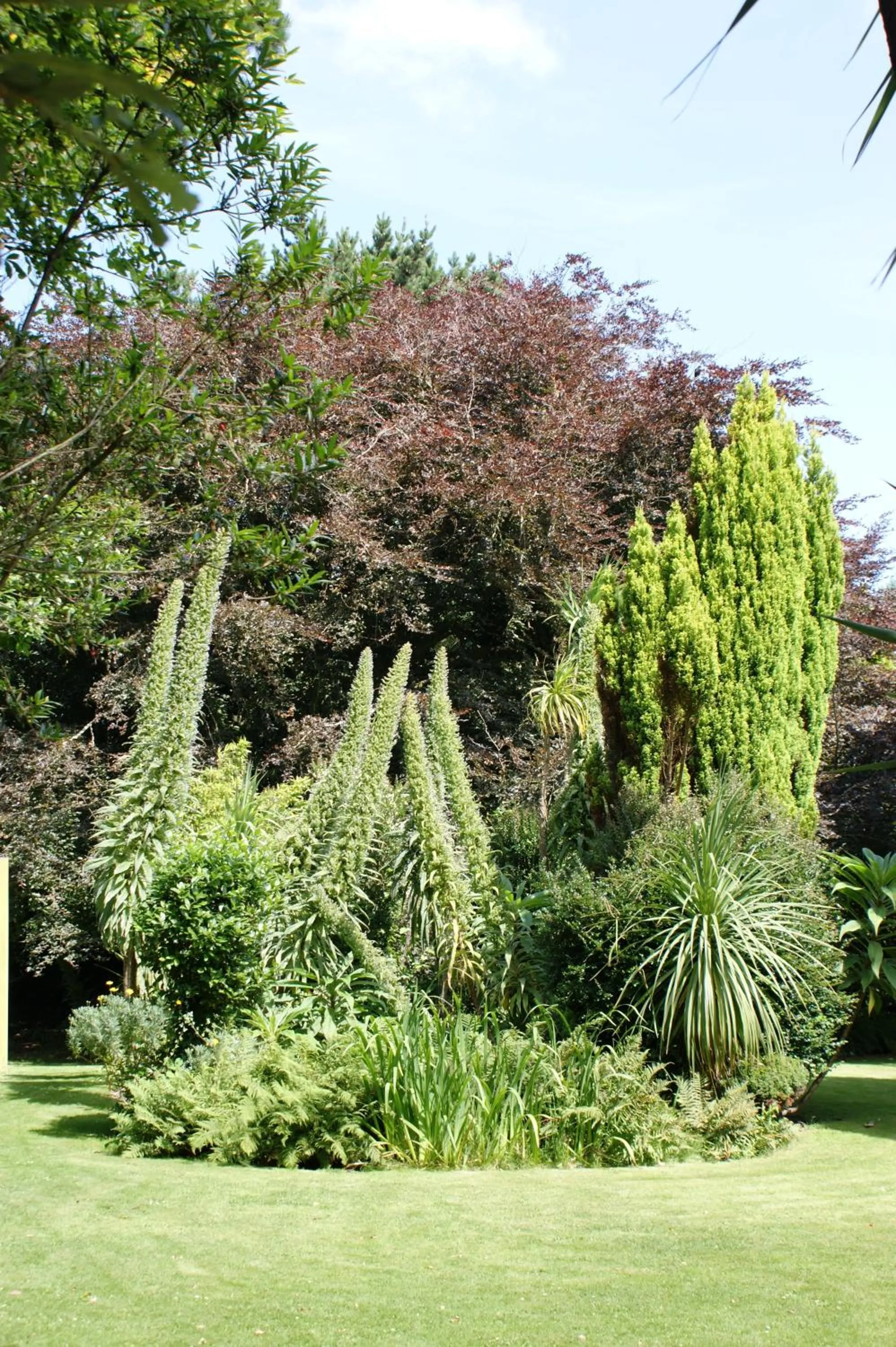 Garden in Grange Lodge Hotel