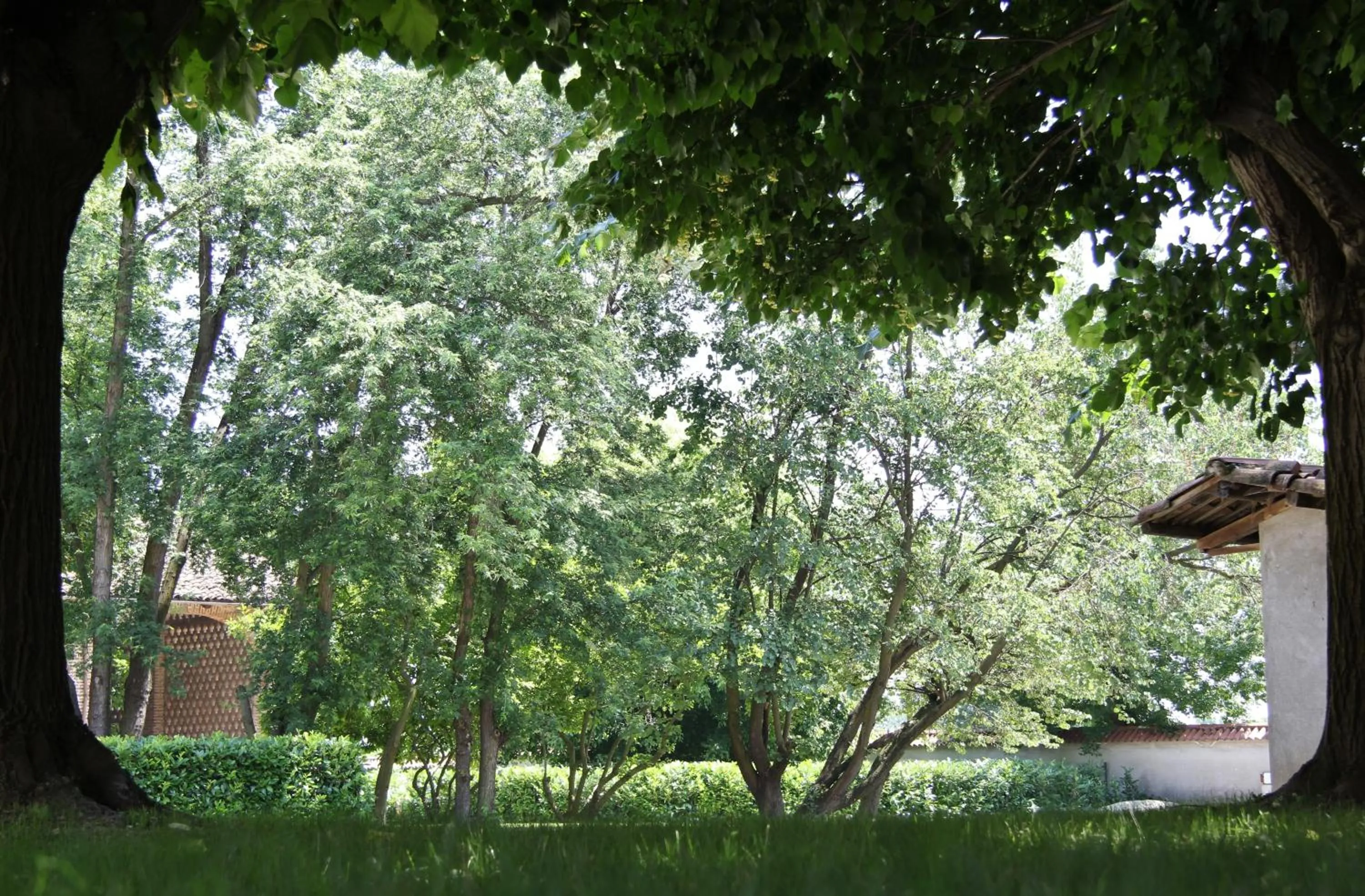 Garden in Tenuta Ajrale