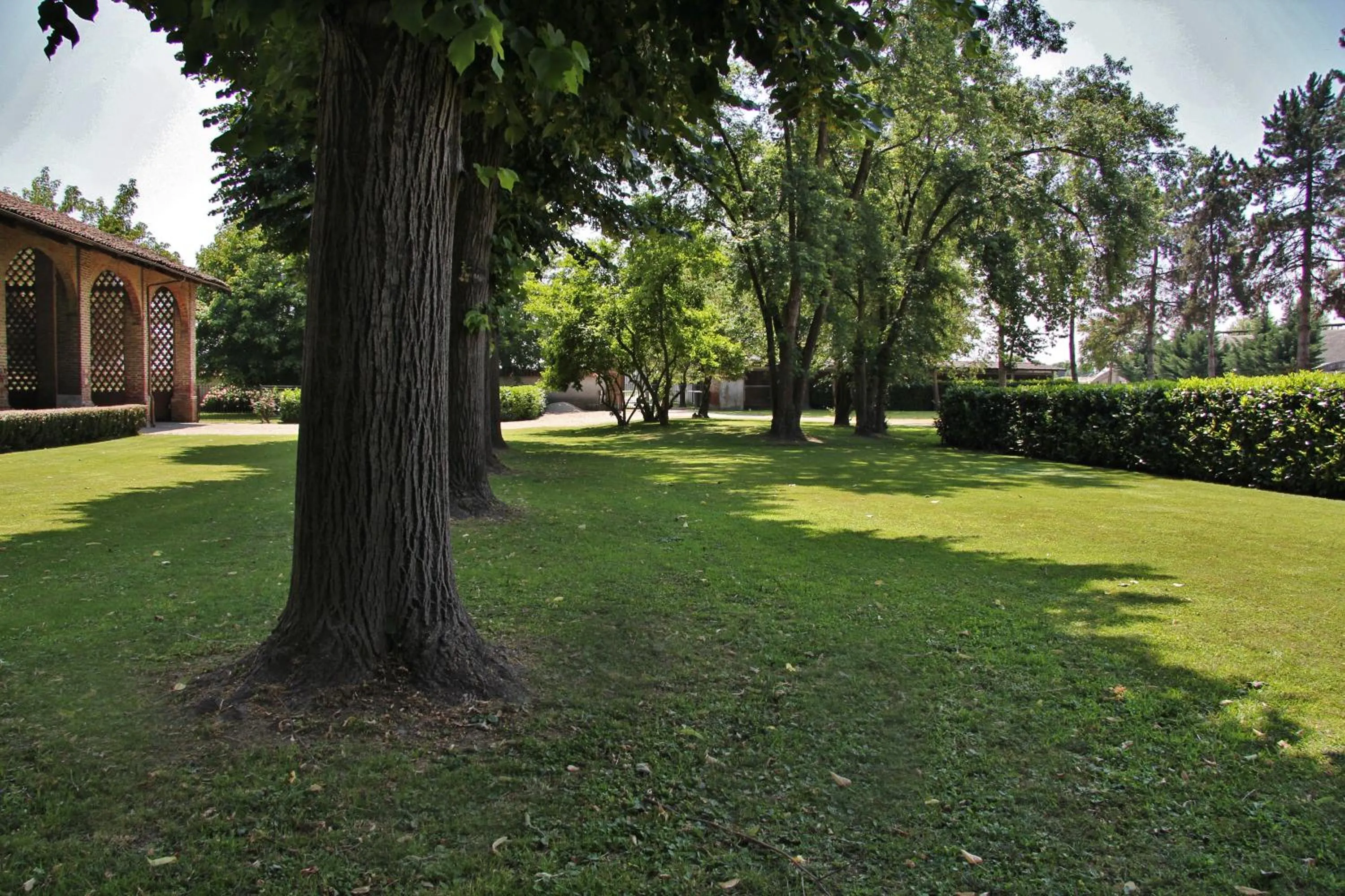Bird's eye view in Tenuta Ajrale
