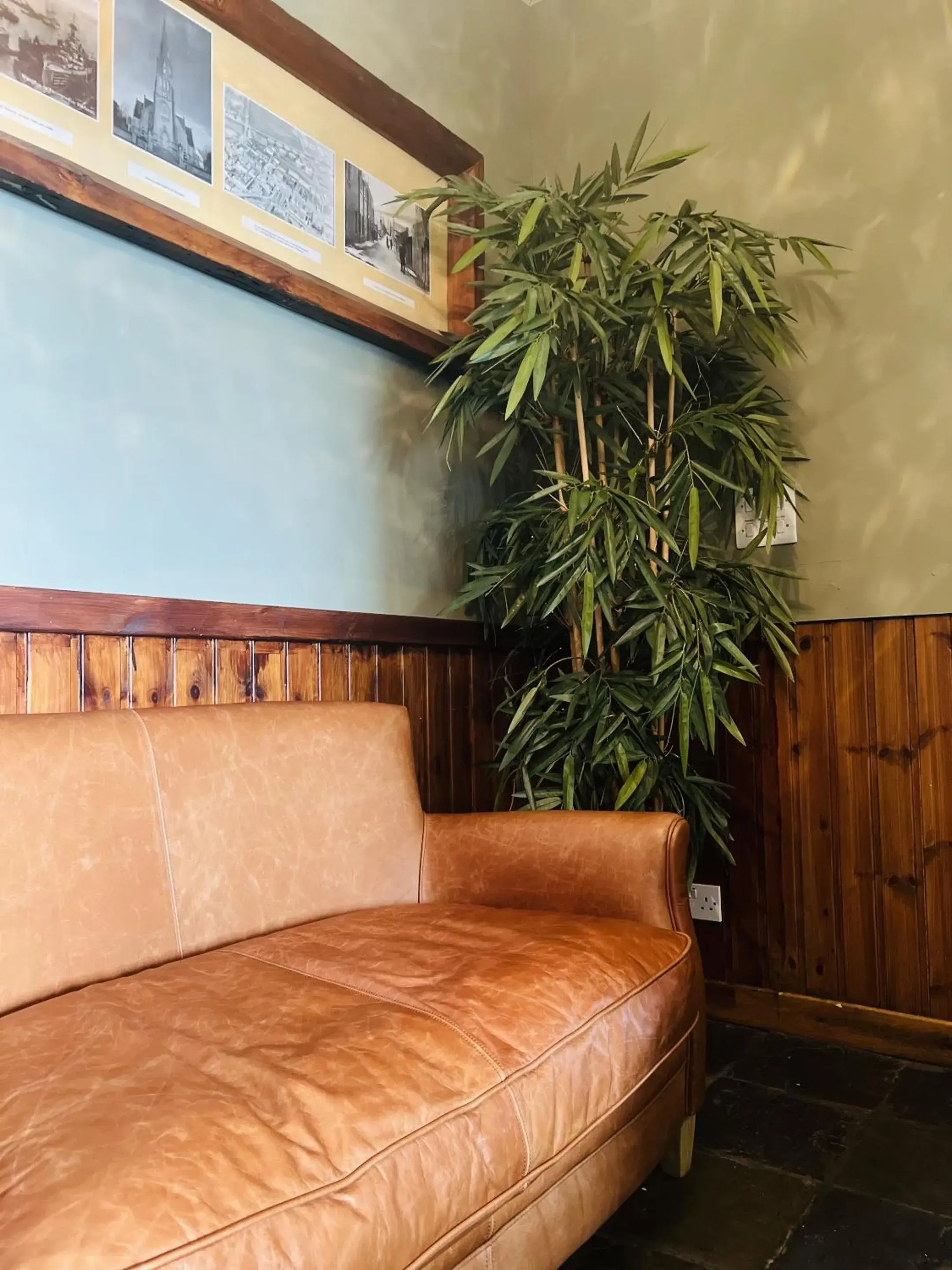 Lobby or reception in Tuckers Inn Lobby or reception in Tuckers Inn