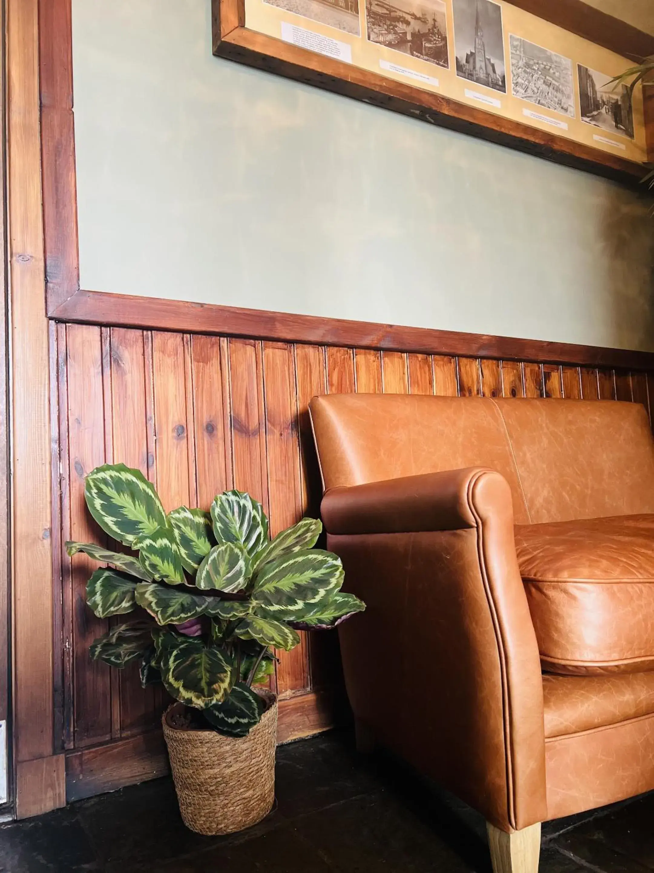 Lobby or reception in Tuckers Inn Lobby or reception in Tuckers Inn