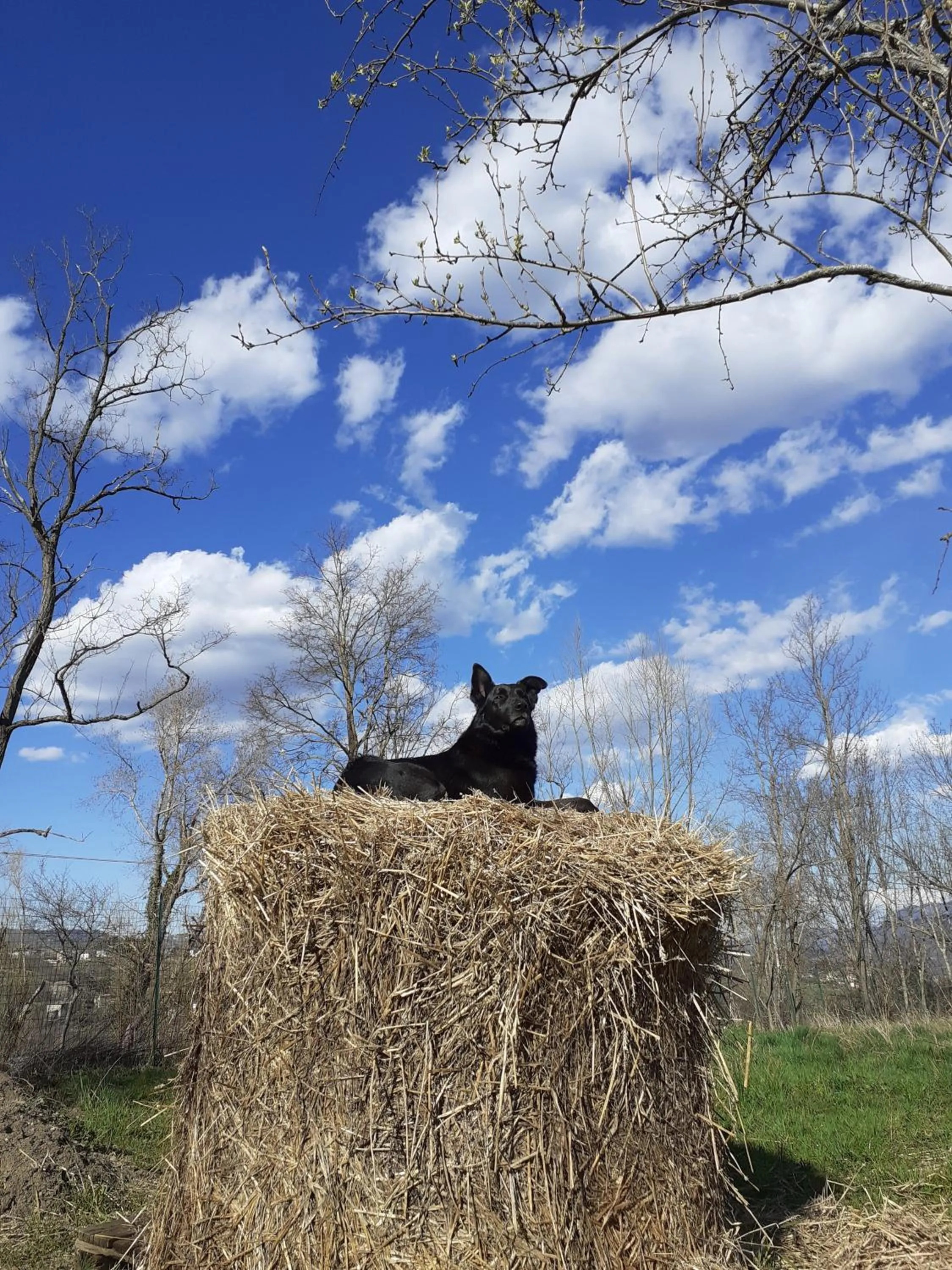 Natural landscape in Cà Gennara Agri B&B