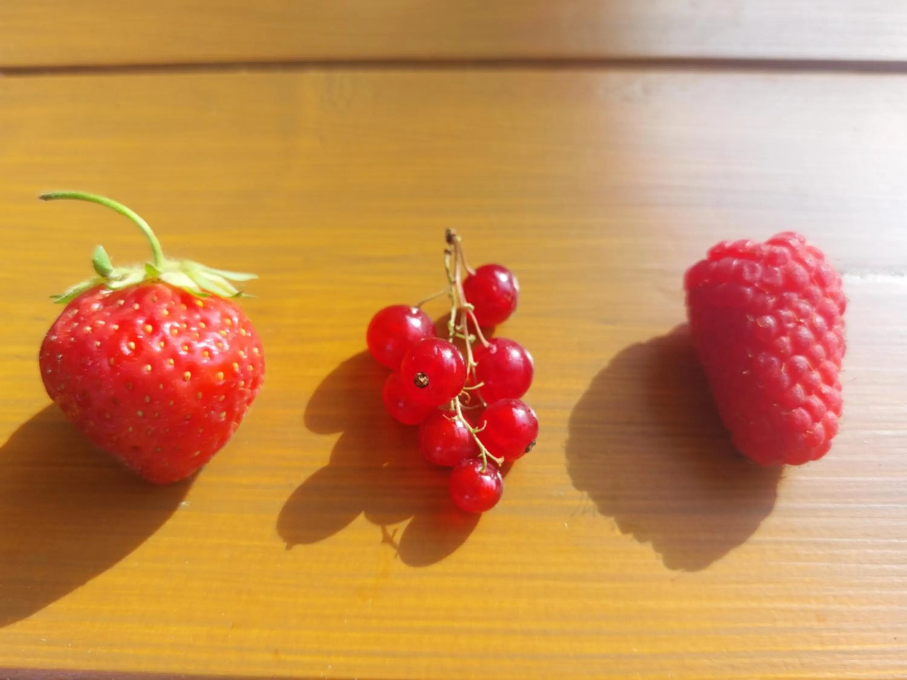 Food in Cà Gennara Agri B&B