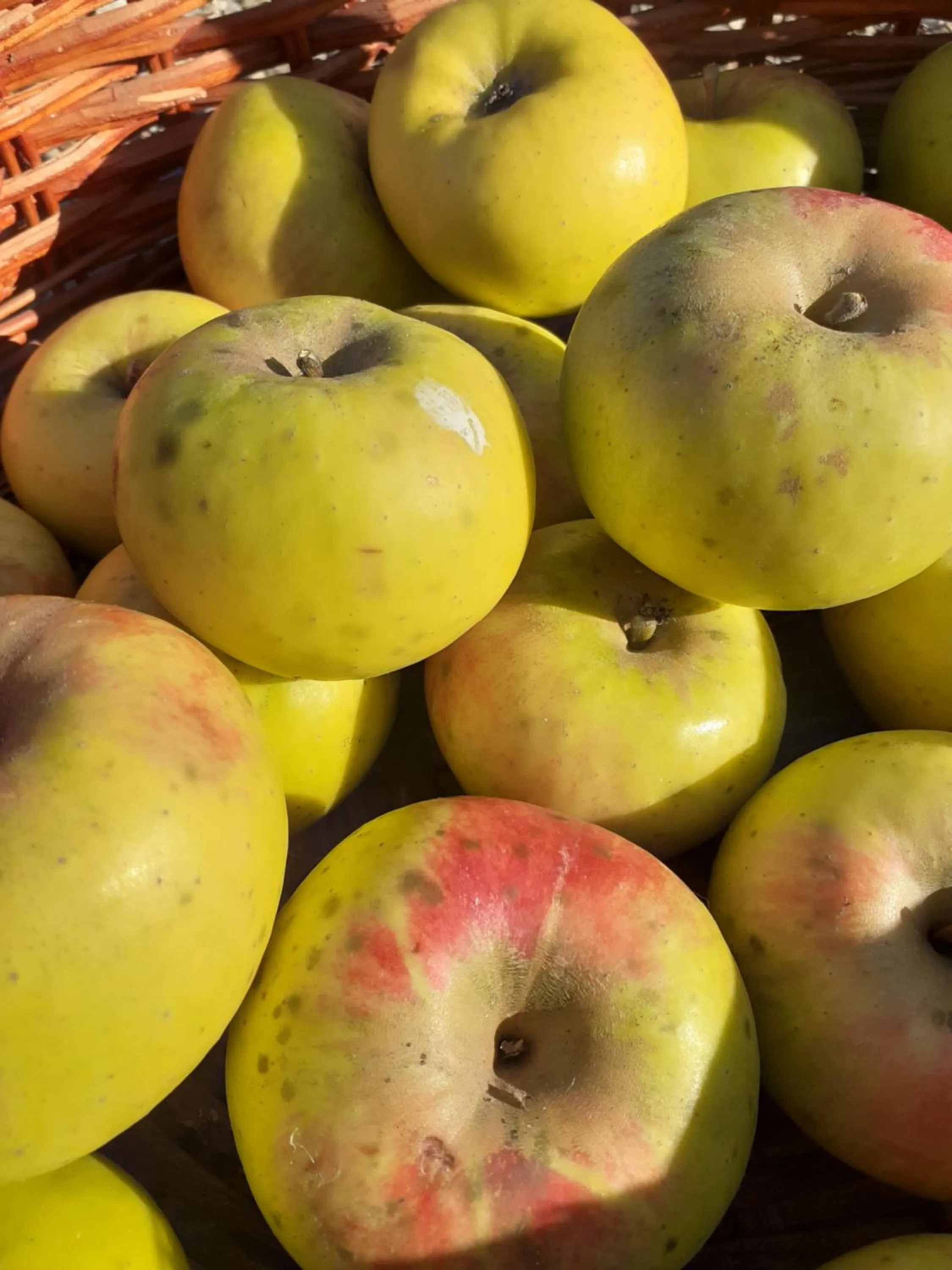 Food in Cà Gennara Agri B&B