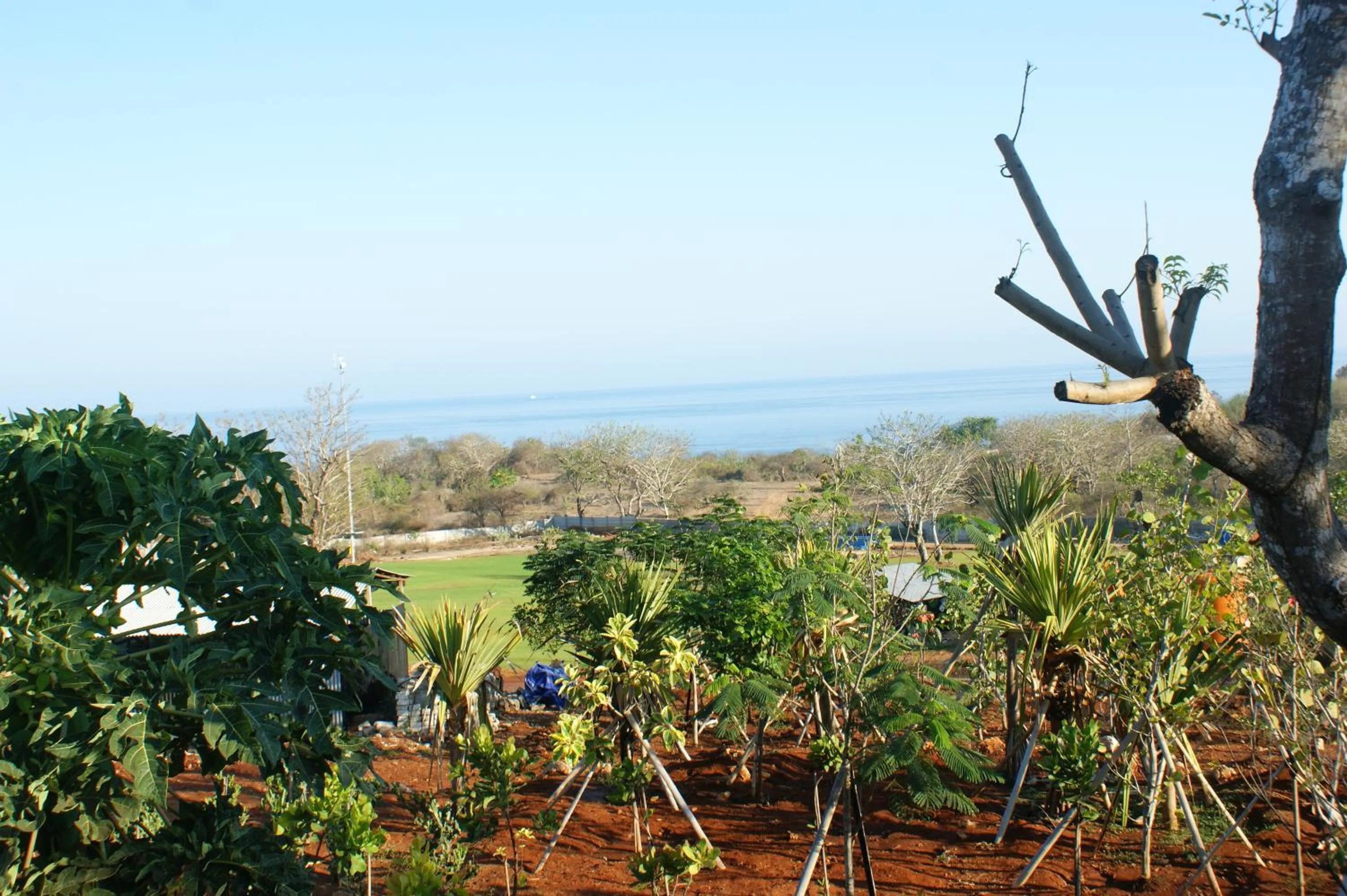 Other in Villa Anjing 2