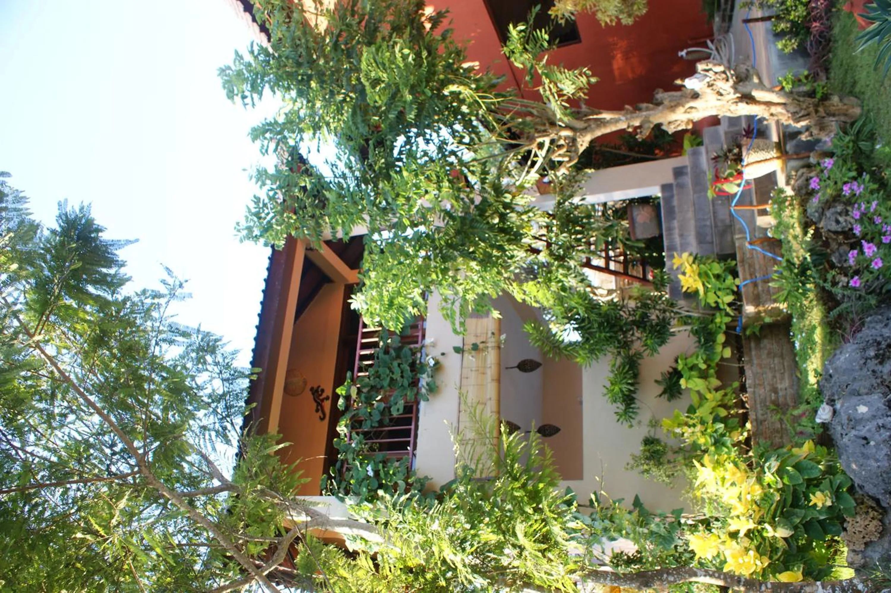 Garden view in Villa Anjing 2