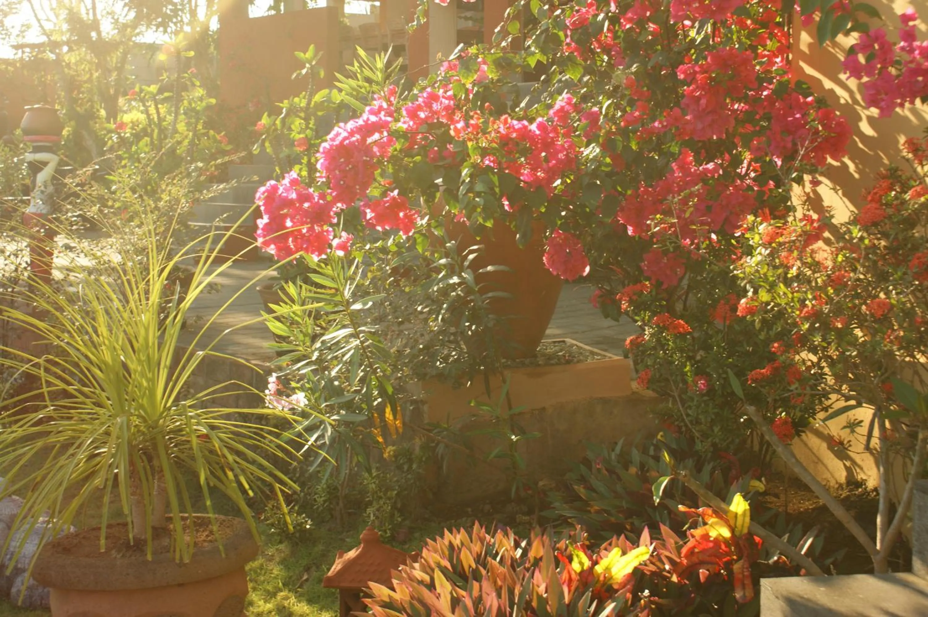 Decorative detail in Villa Anjing 2