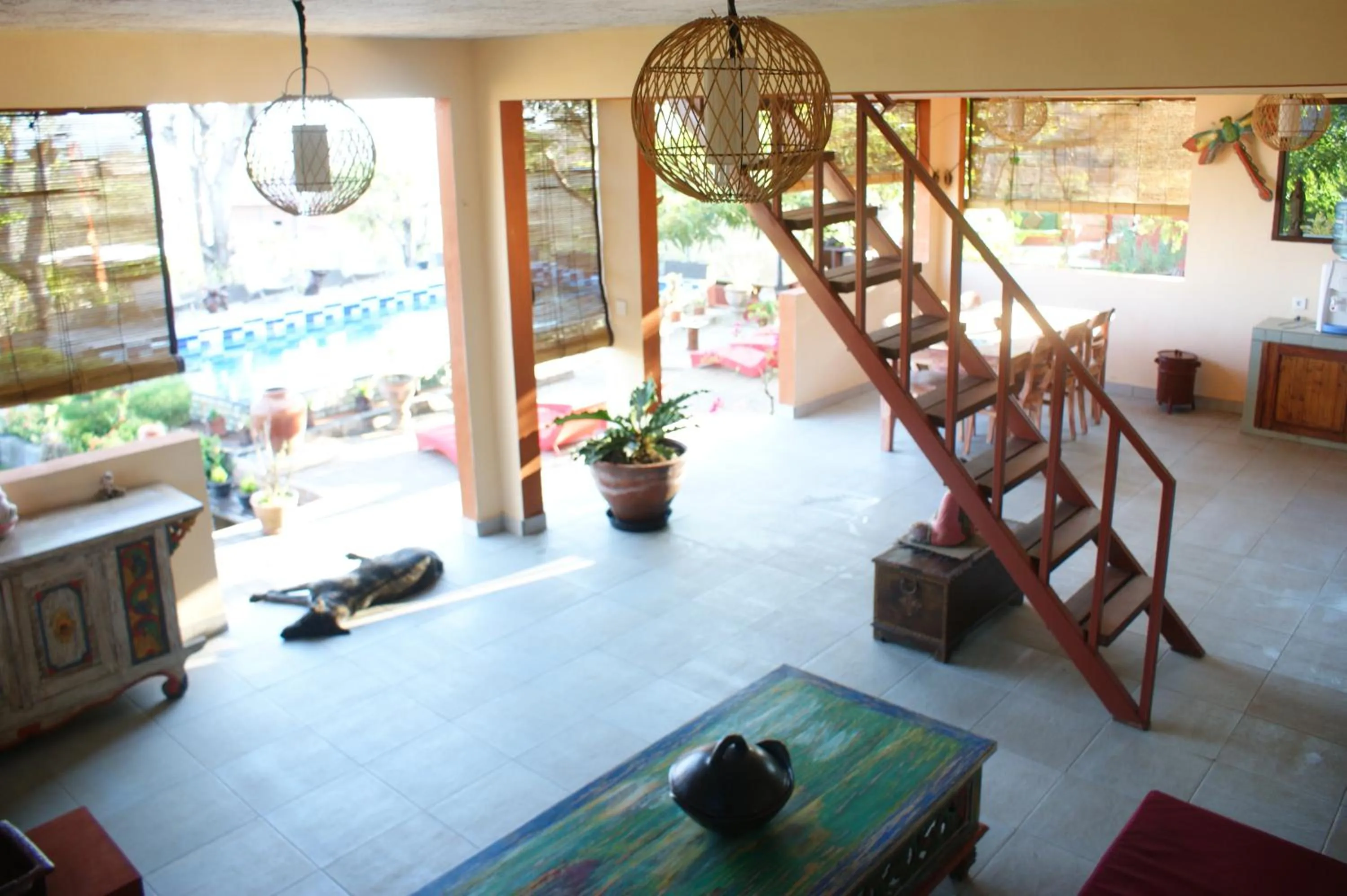 Pets in Villa Anjing 2